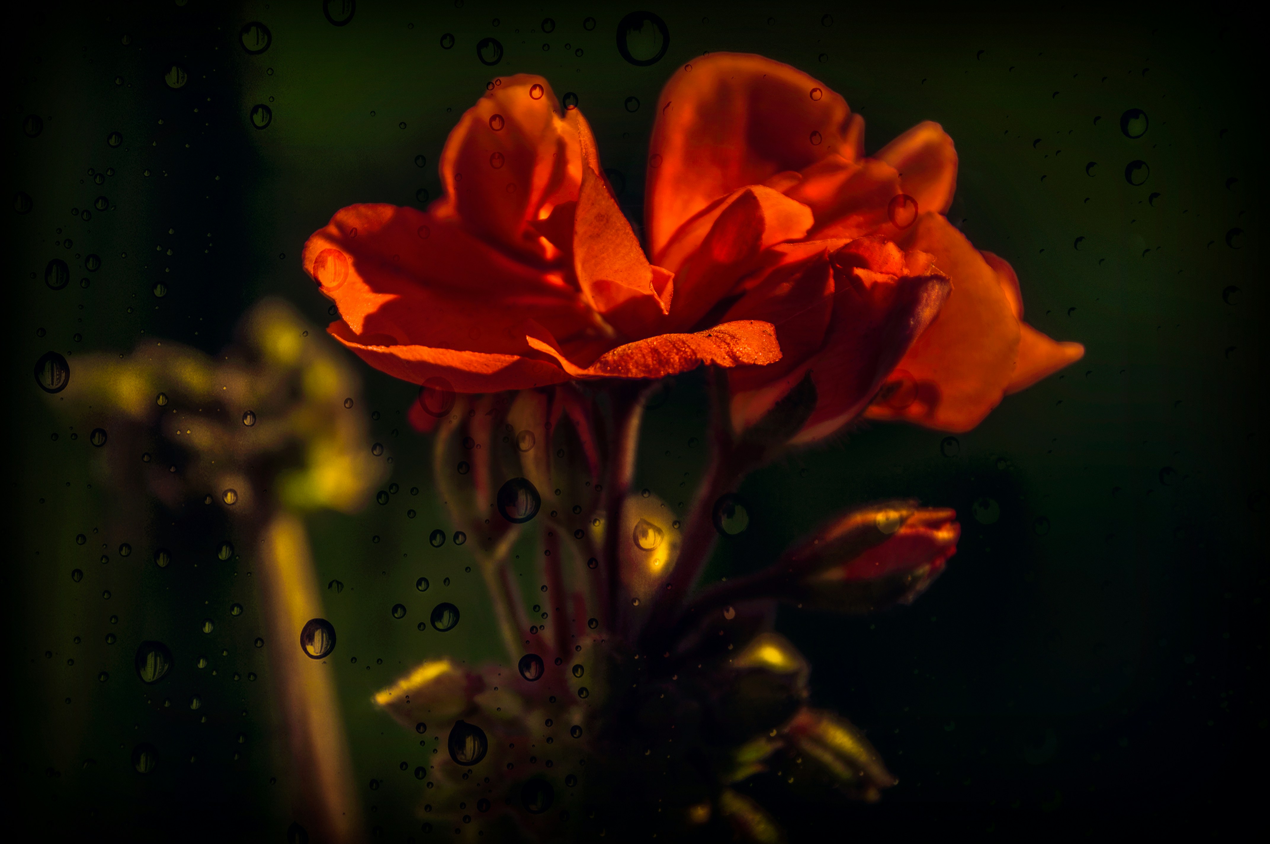 Free Unsplash photo from Hmetosche Saidani