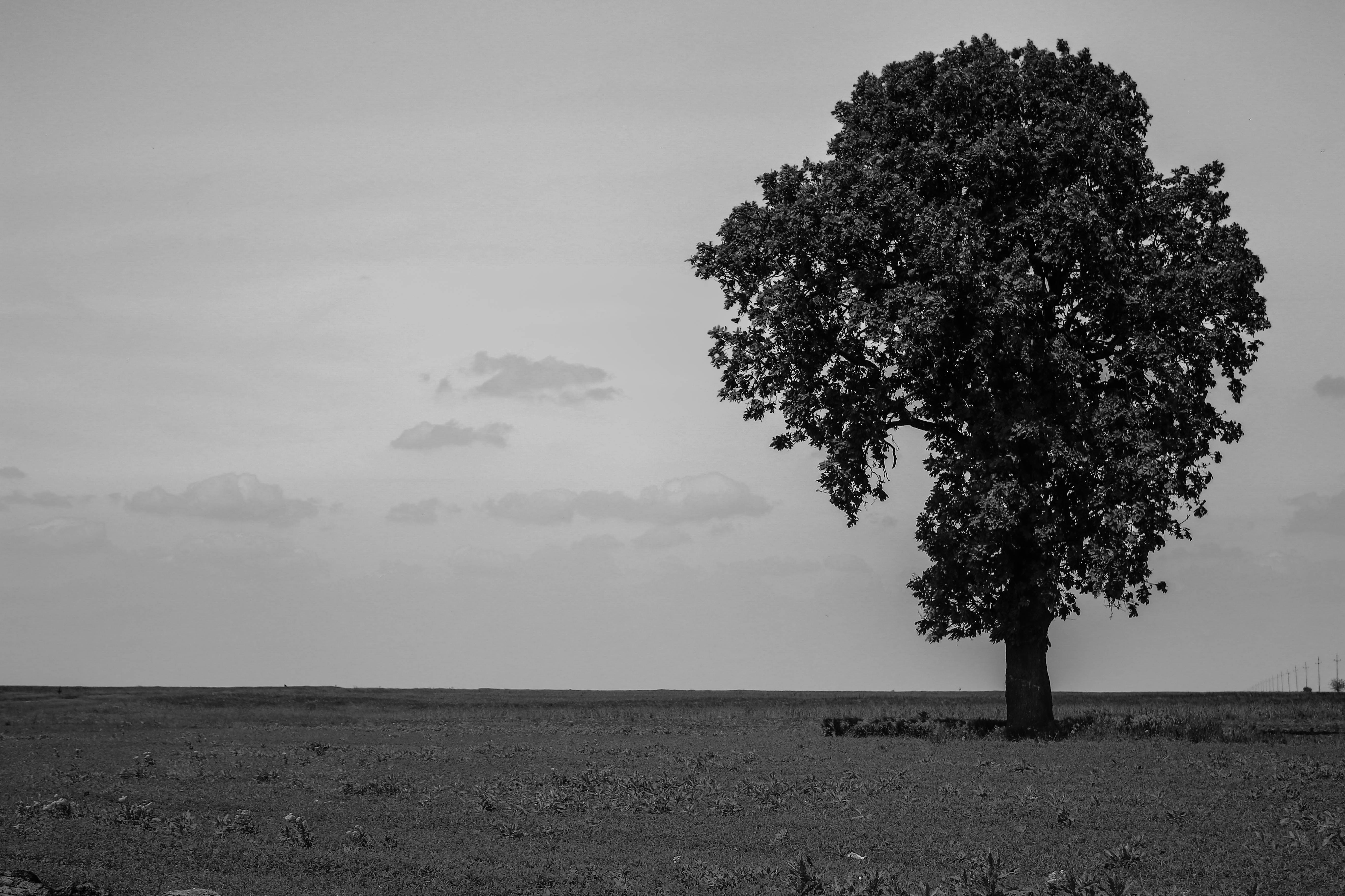 Free Unsplash photo from Mindroc  Ilie-Marian