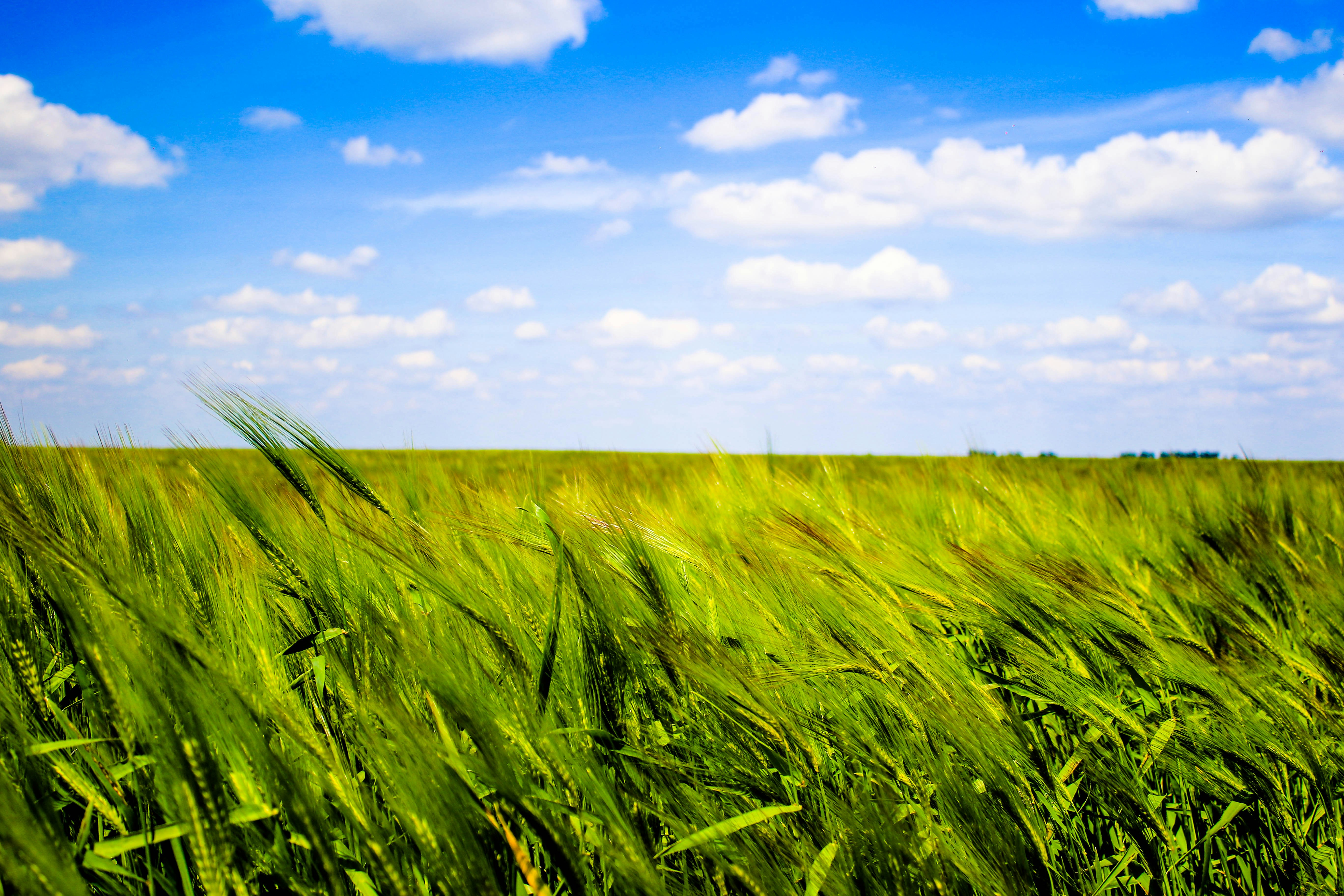 Free Unsplash photo from Mindroc  Ilie-Marian