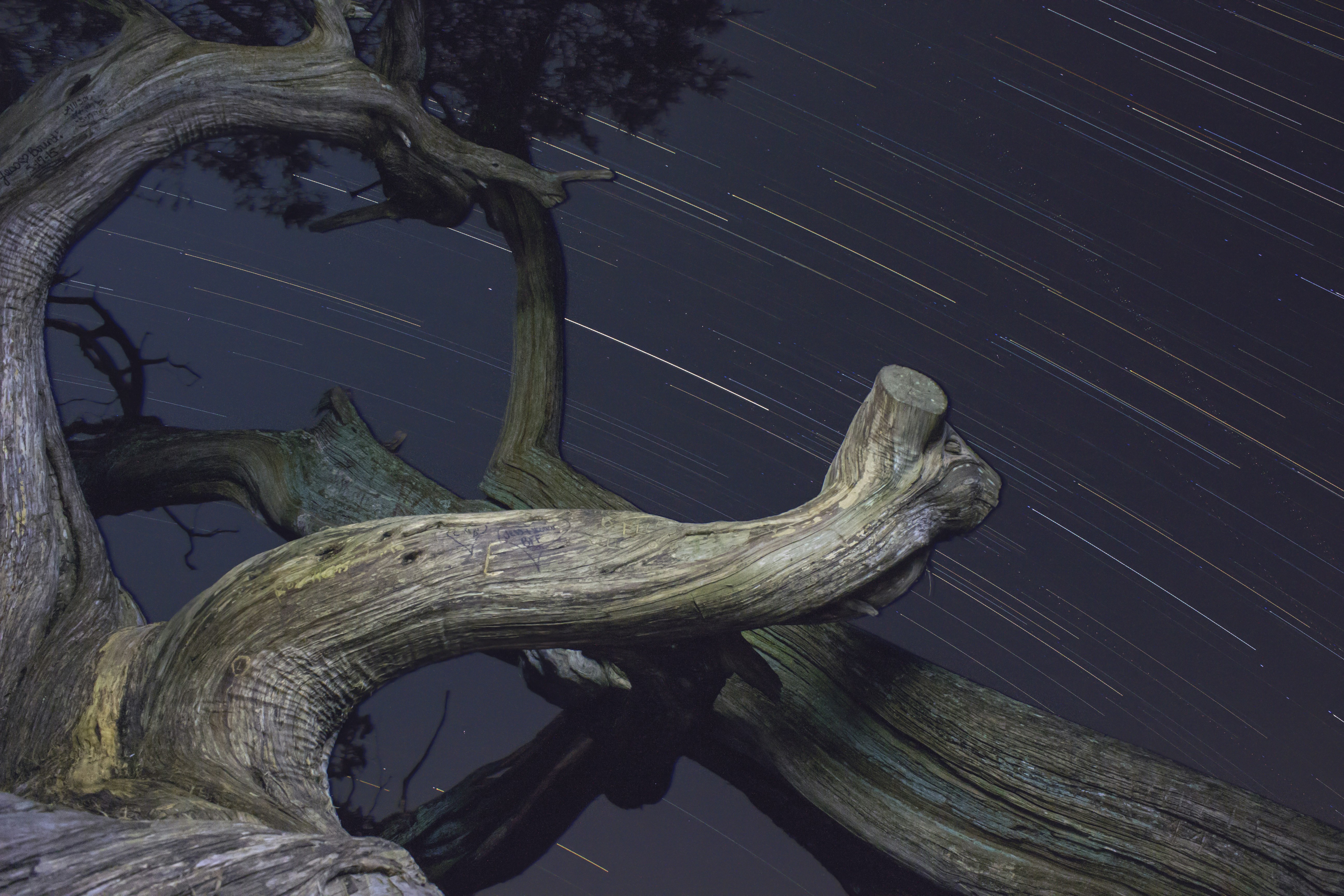 Free Unsplash photo from Riley  Pope