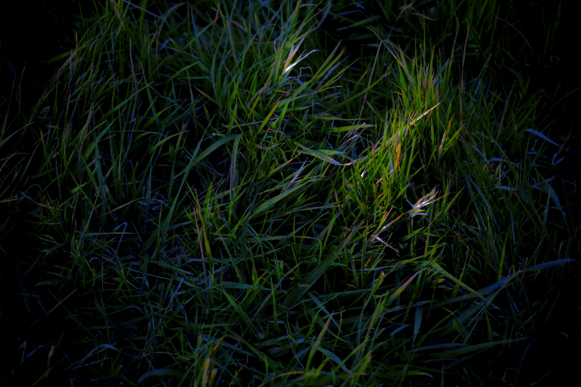 black and brown leather padded tub sofa