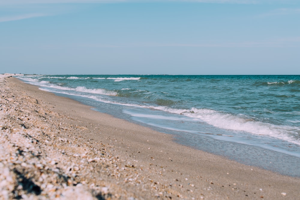 photography of waving body of water