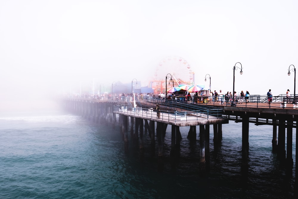 people standing on dock bridge