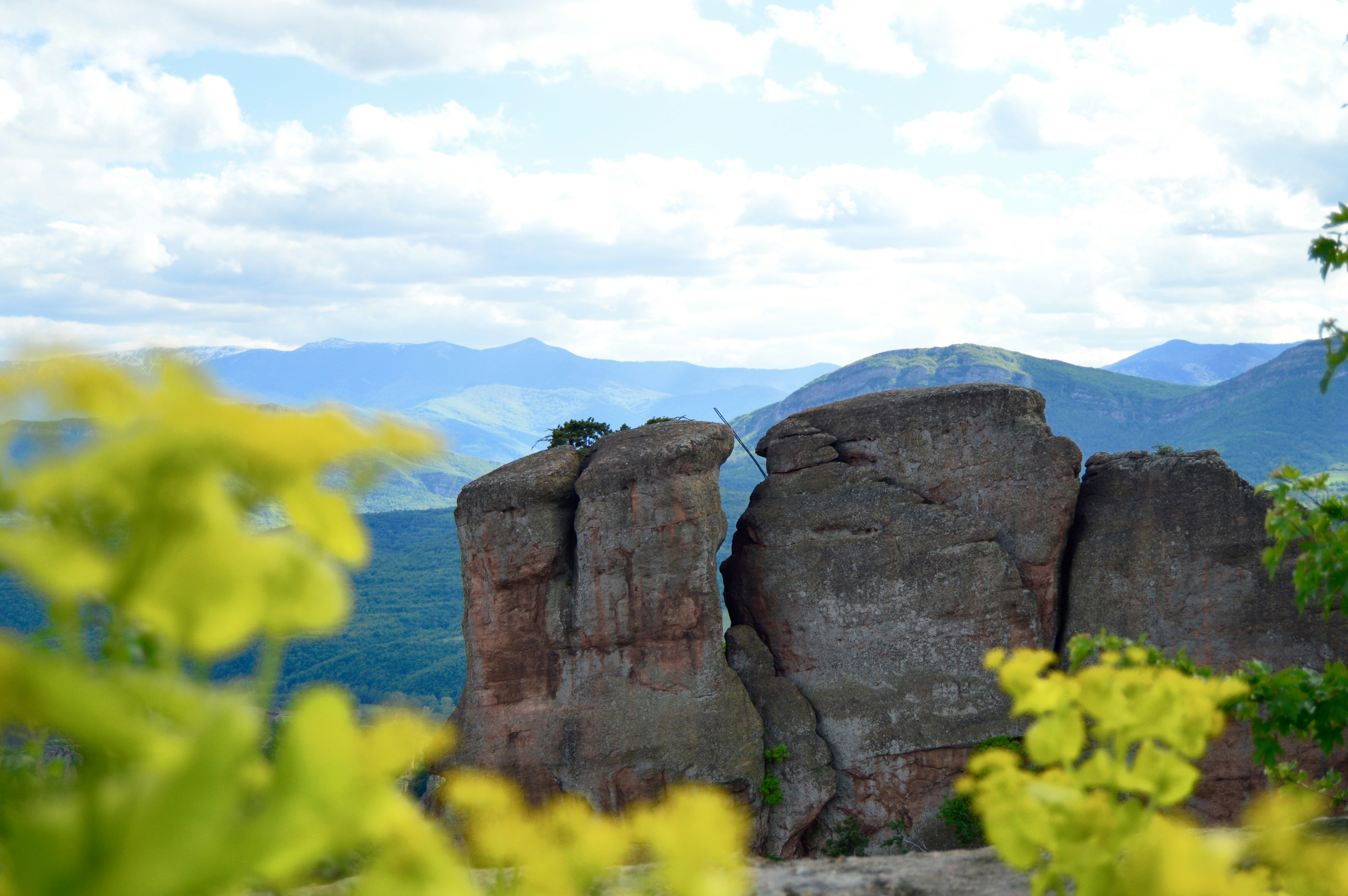 Free Unsplash photo from Cvetilena Gocheva