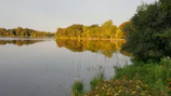 A quiet lake reflecting the soft greens of trees, illustrating calm and balance.