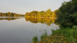 A quiet lake reflecting the soft greens of trees, illustrating calm and balance.