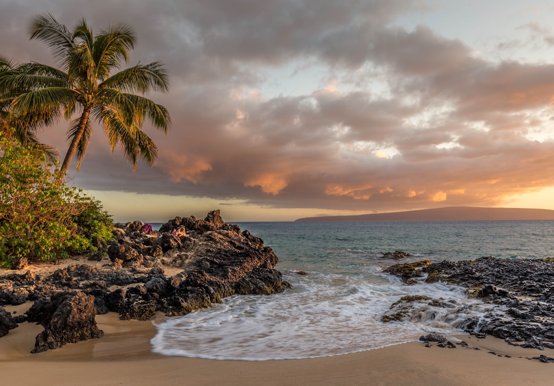 ocean near trees and rocks, Sunset beach views