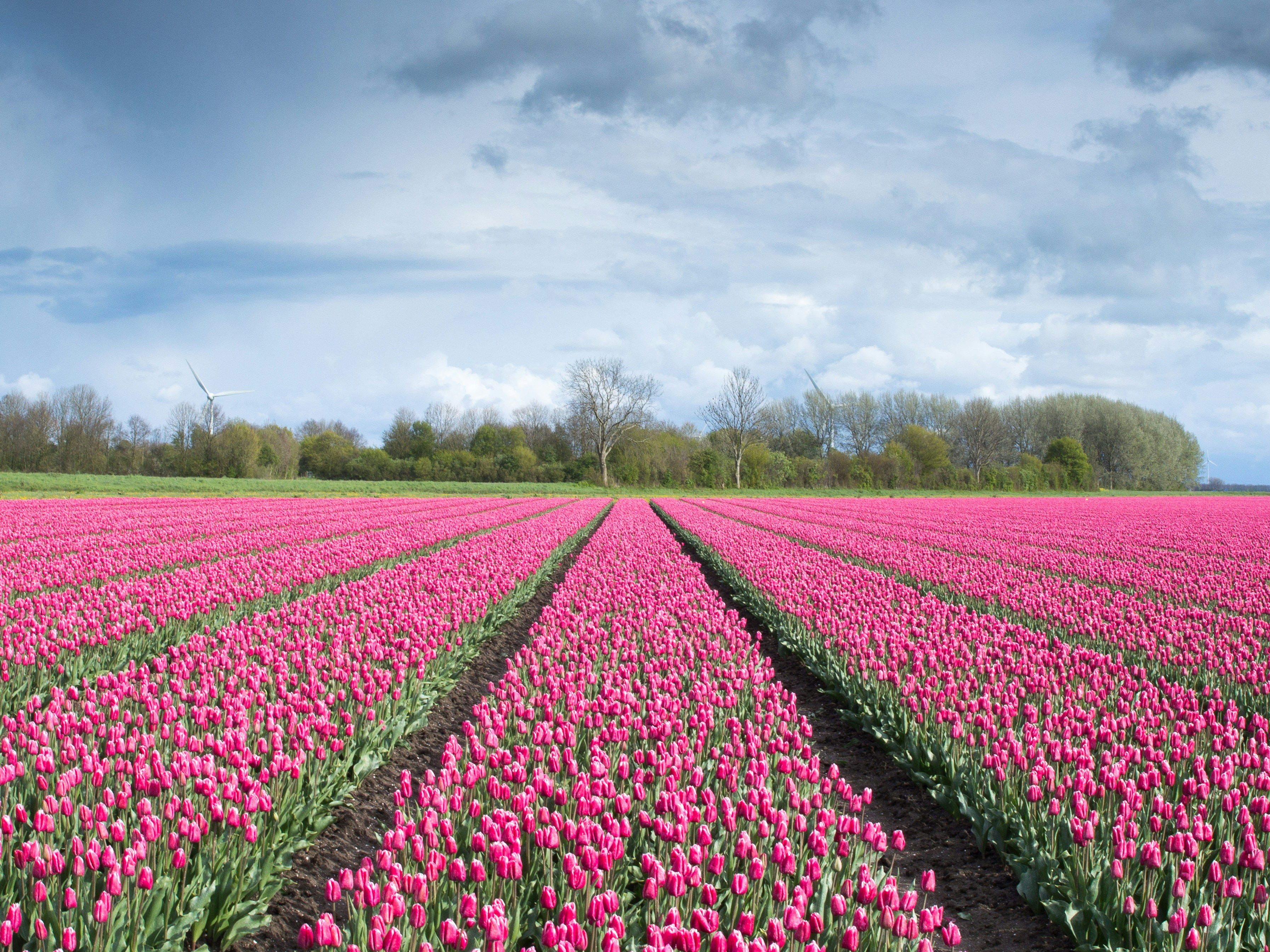 Free Unsplash photo from Eddie Hooiveld