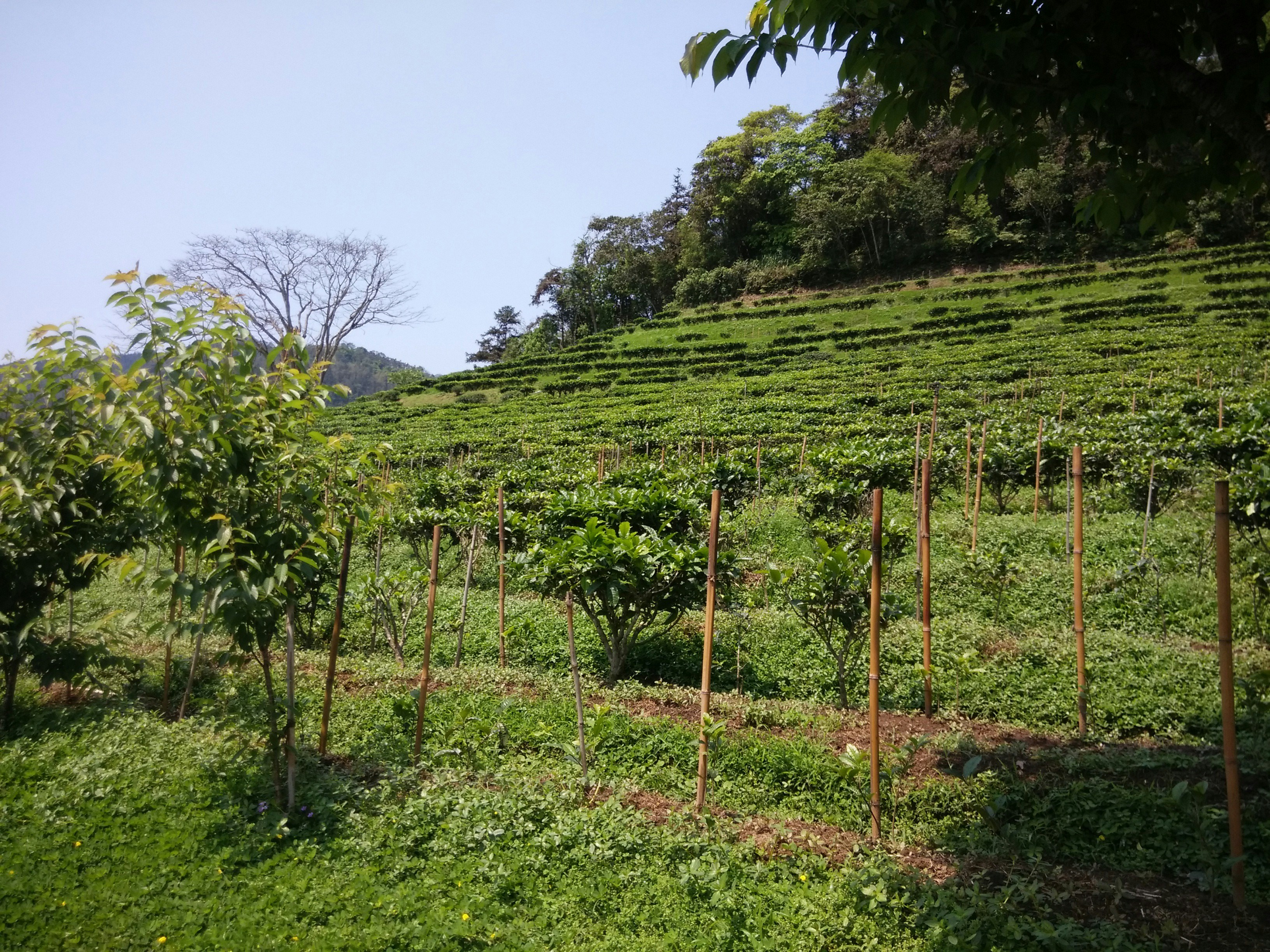 Free Unsplash photo from Zilian Saierde