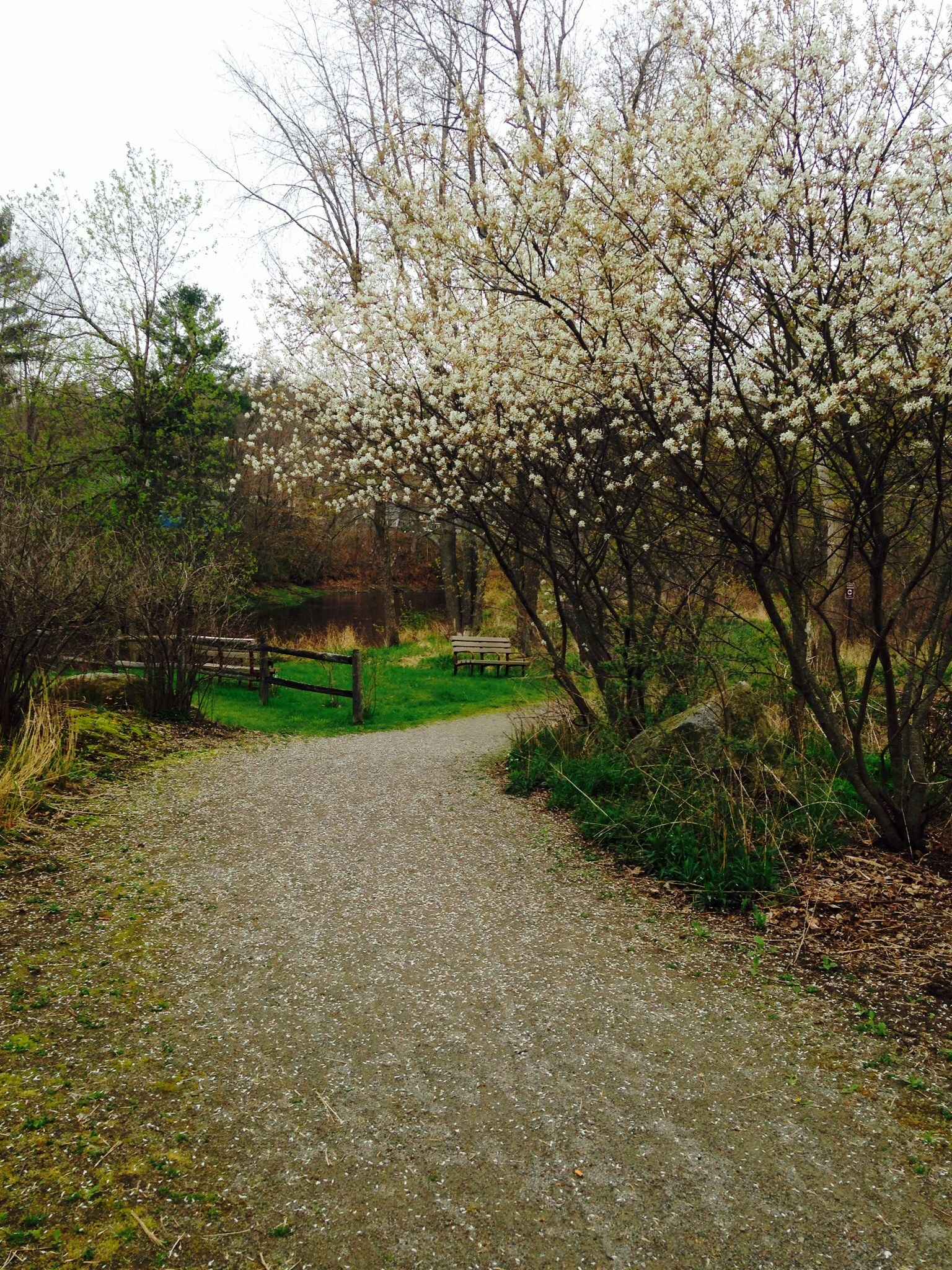 Free Unsplash photo from Katie Cerez