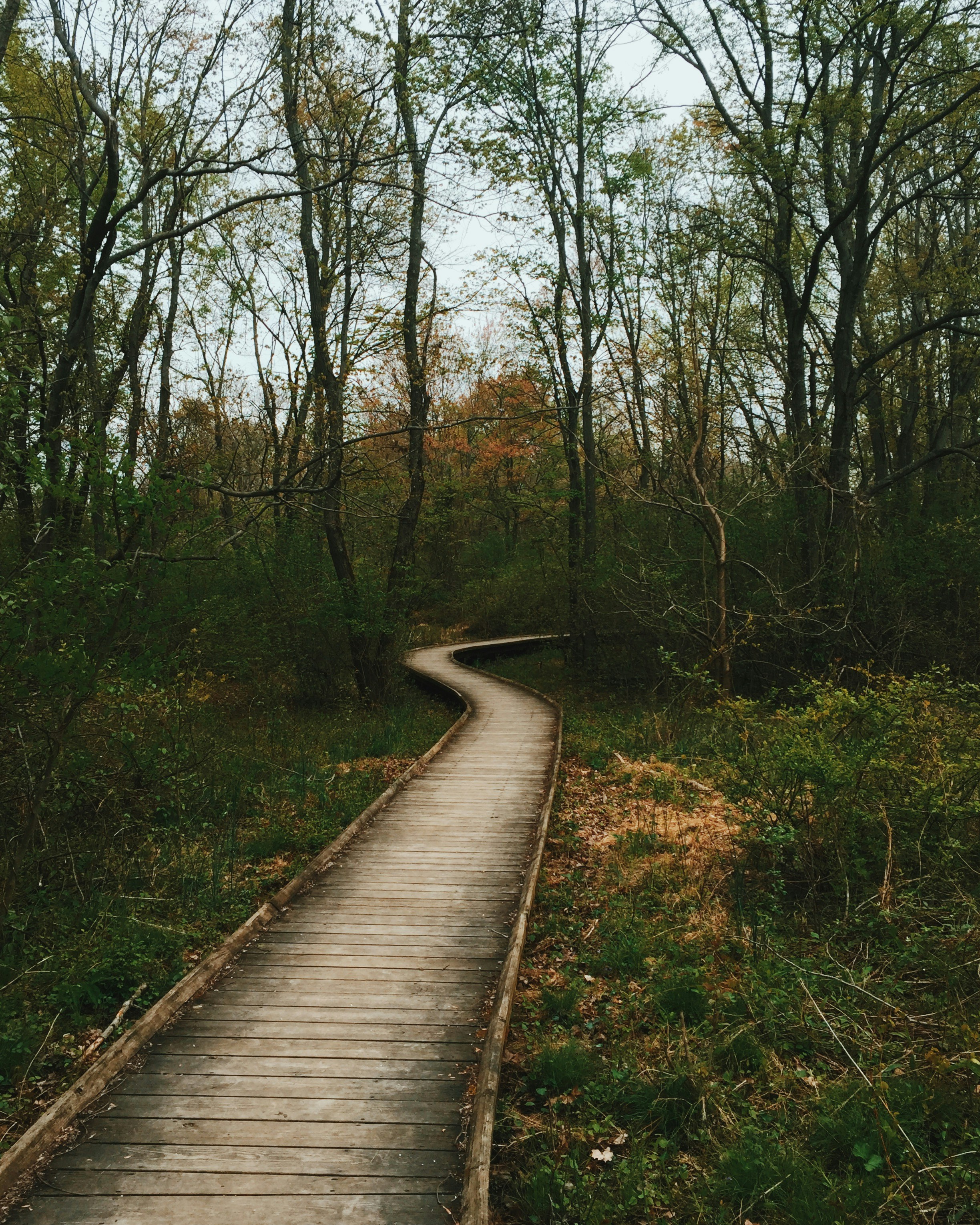 Free Unsplash photo from Michael Smith