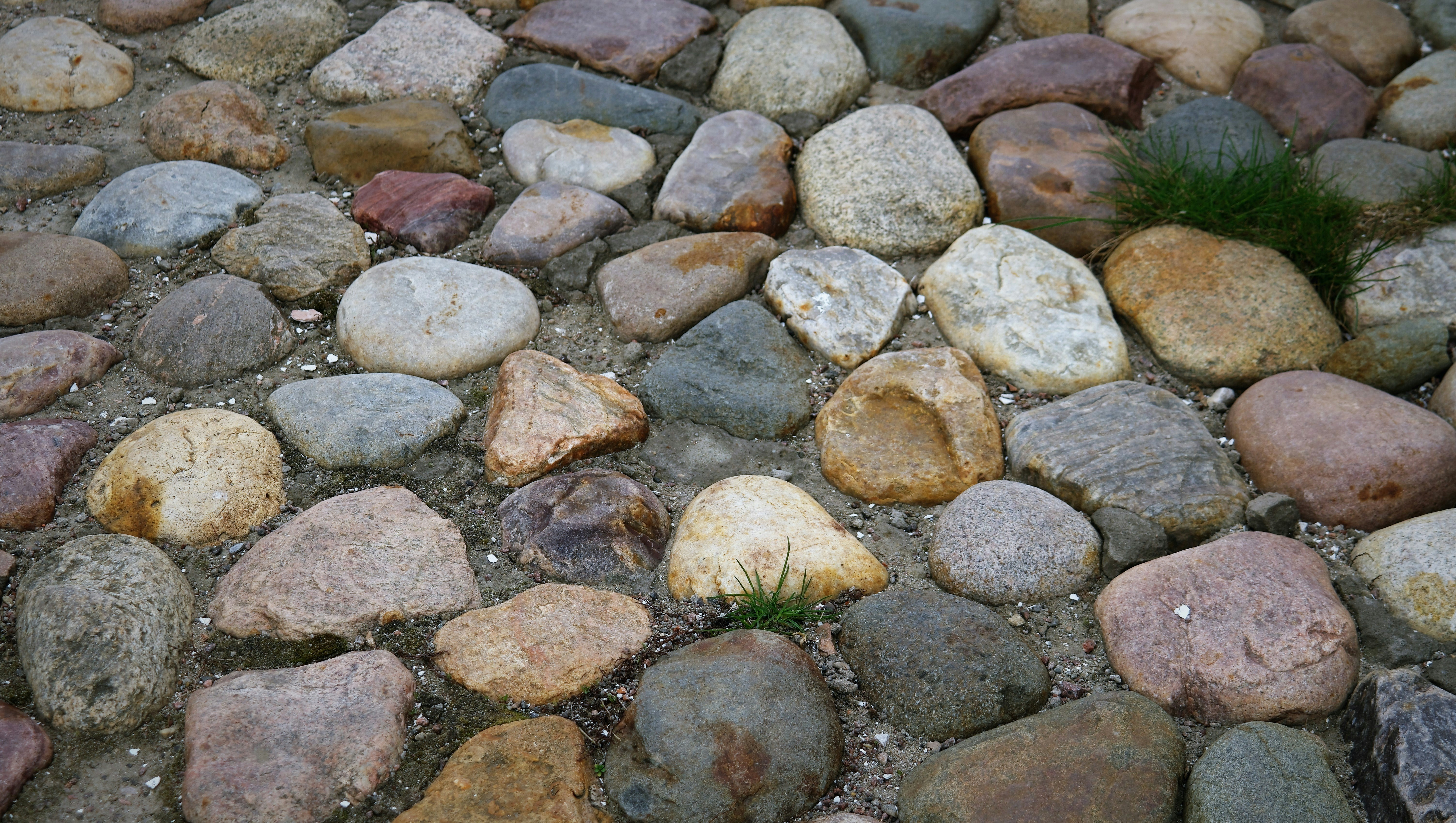 Free Unsplash photo from Vladimir Kuzin