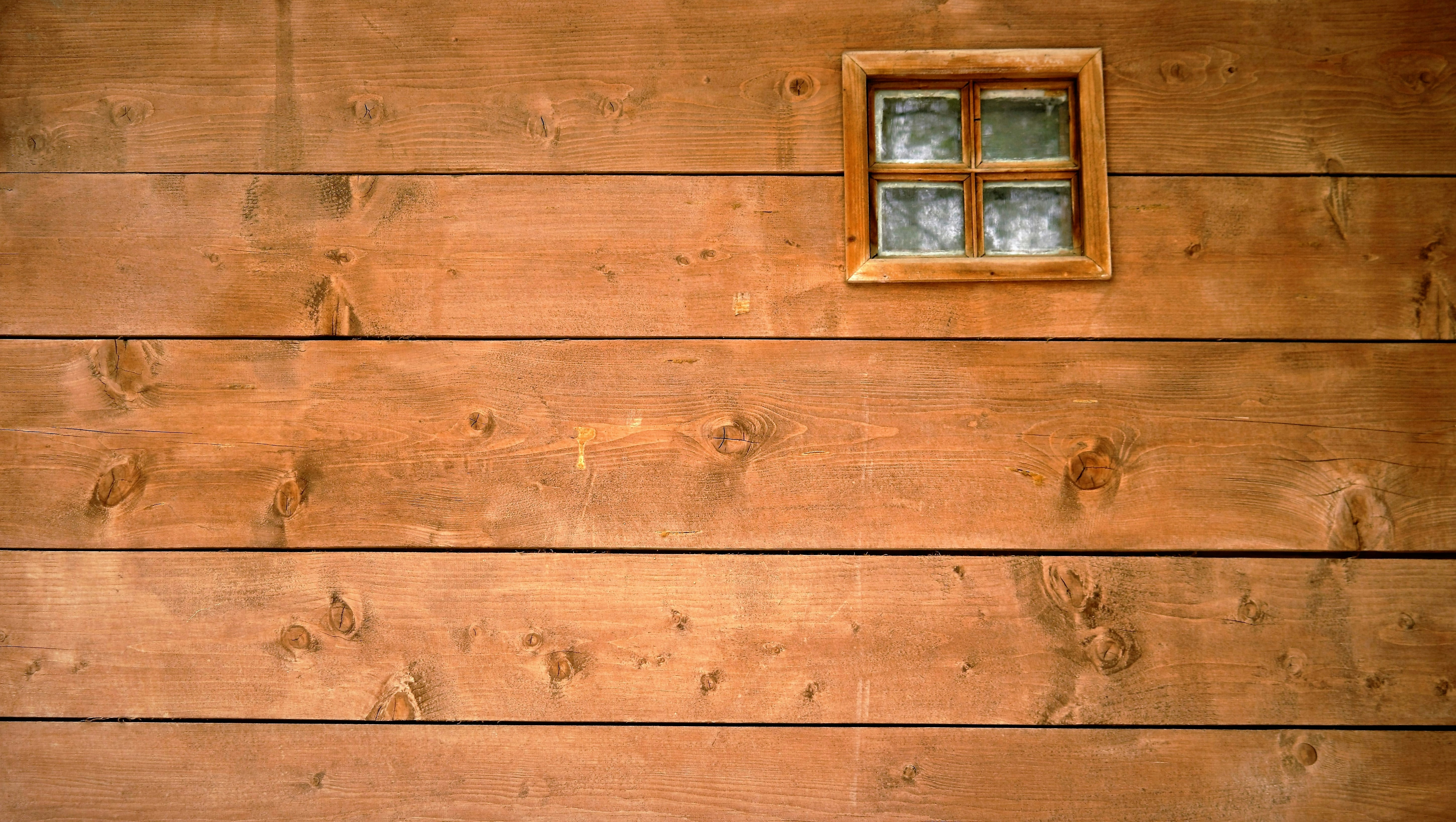 Free Unsplash photo from Vladimir Kuzin