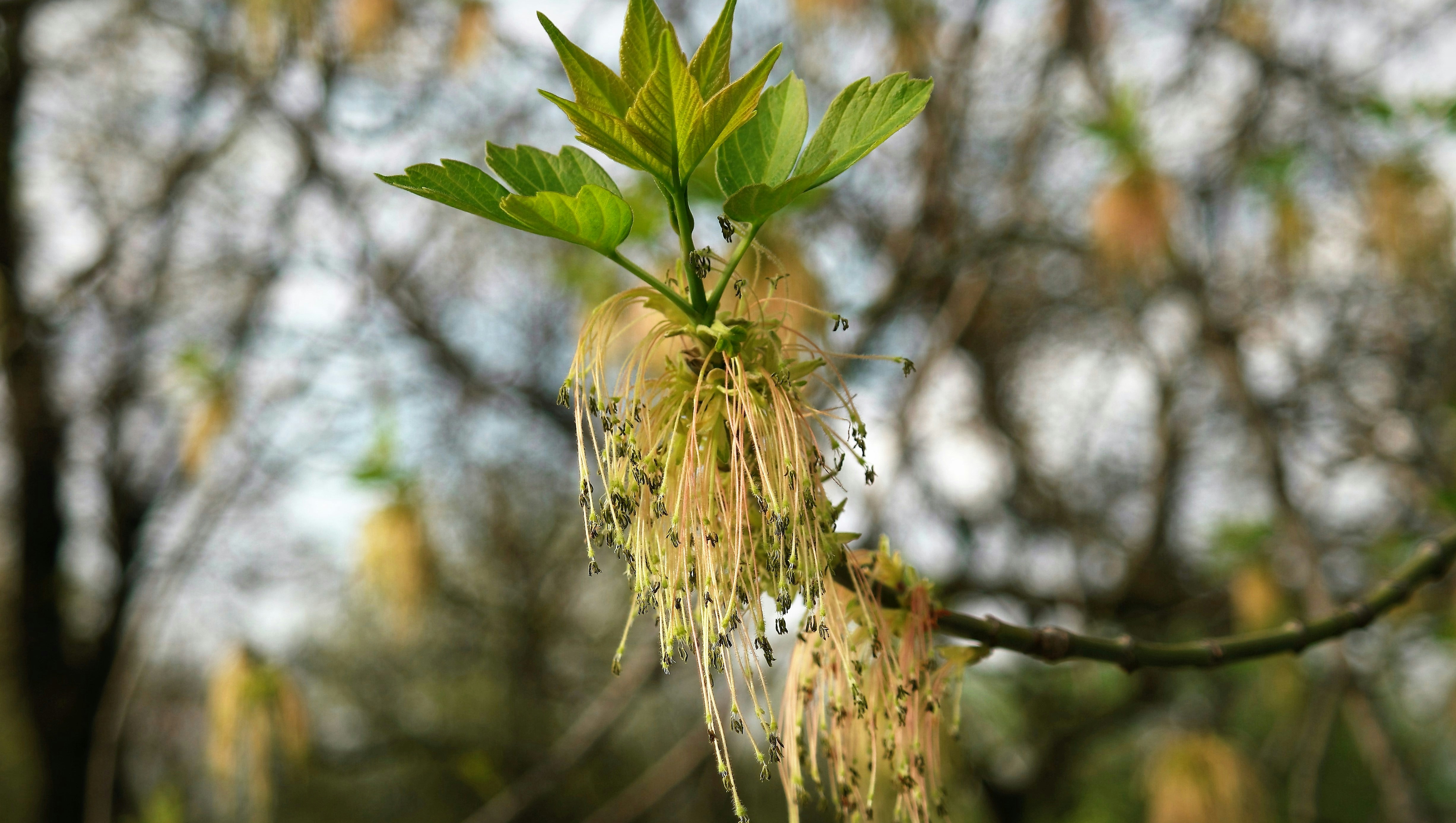 Free Unsplash photo from Vladimir Kuzin