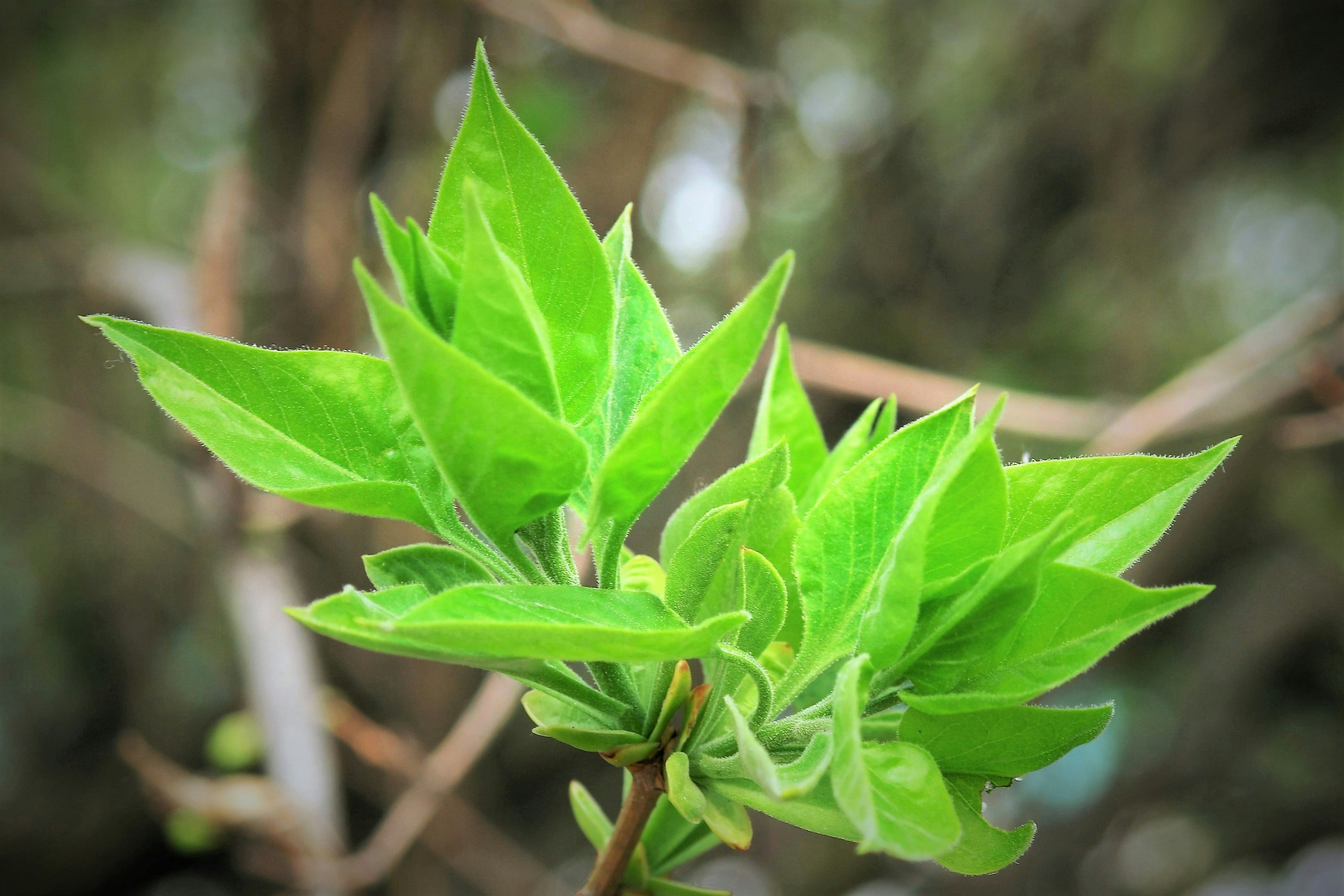 Free Unsplash photo from Vladimir Kuzin