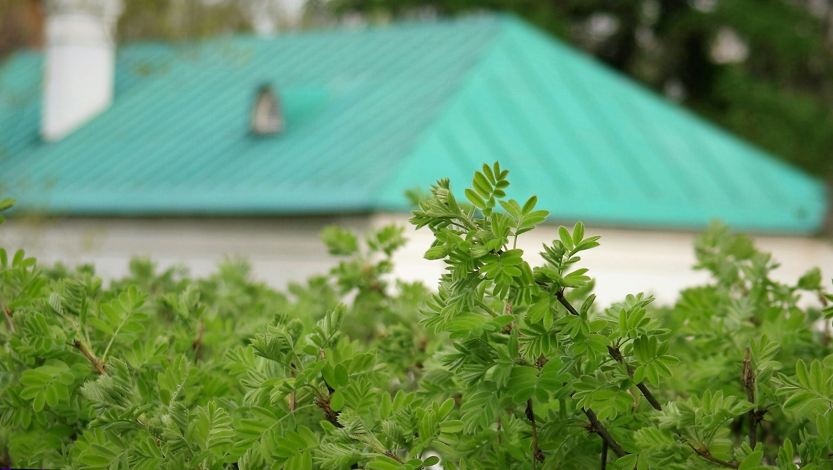 Free Unsplash photo from Vladimir Kuzin