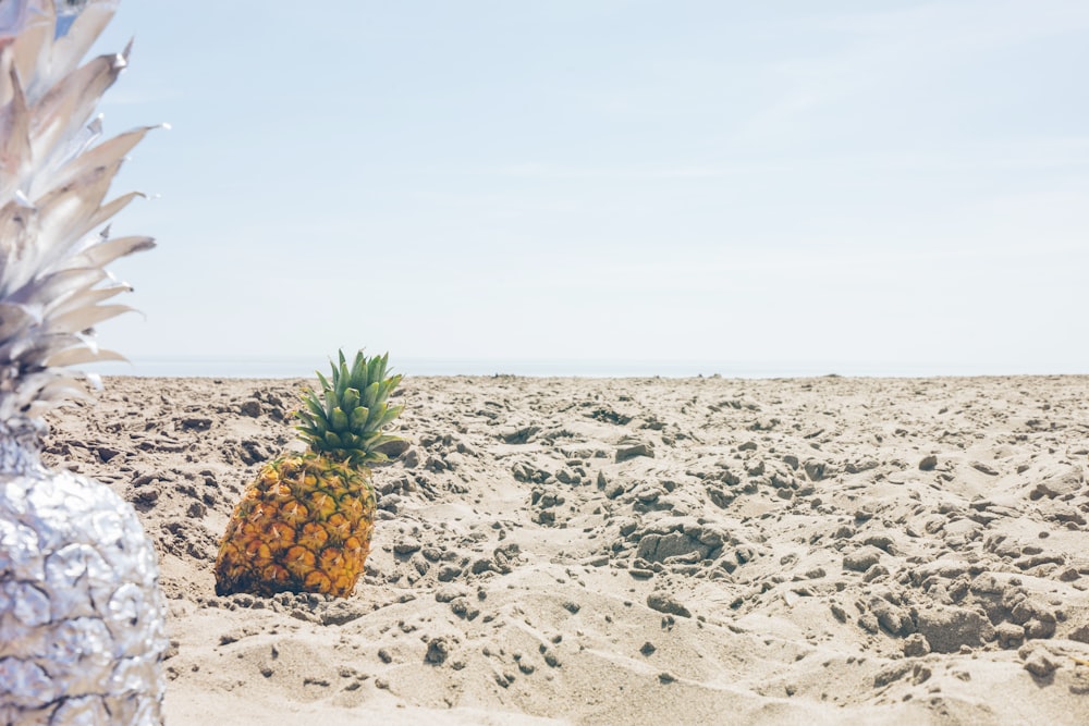 pineapple fruit on sand