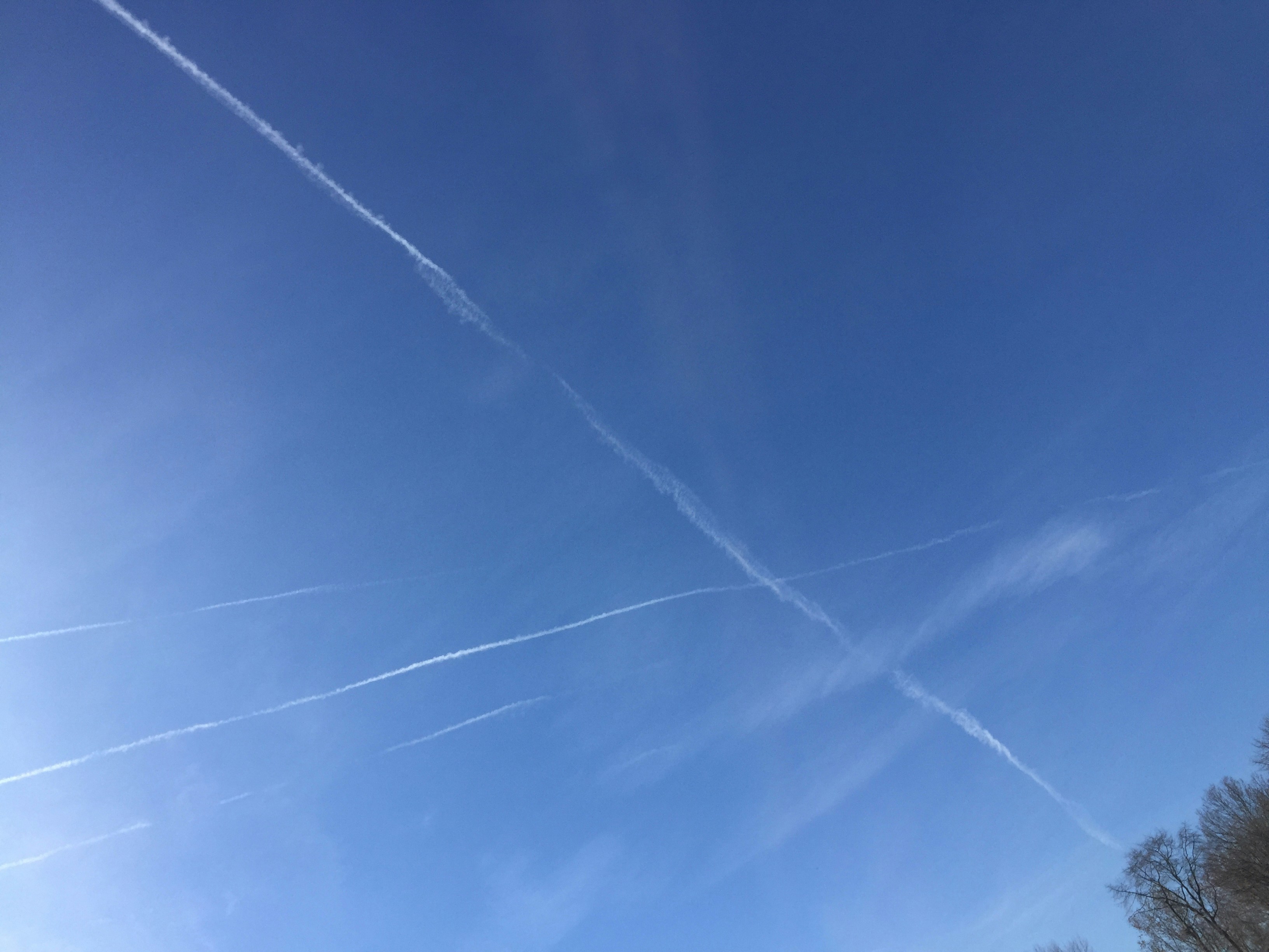 Free Unsplash photo from Jacinto Ruales