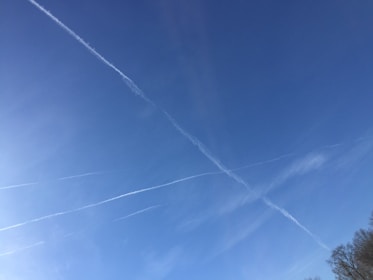 Several white contrails from airplanes intersect against a clear blue sky with some faint clouds in the distance. The top right corner includes a small portion of bare tree branches.