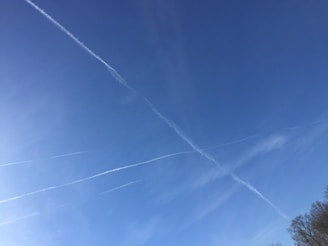 Several white contrails from airplanes intersect against a clear blue sky with some faint clouds in the distance. The top right corner includes a small portion of bare tree branches.