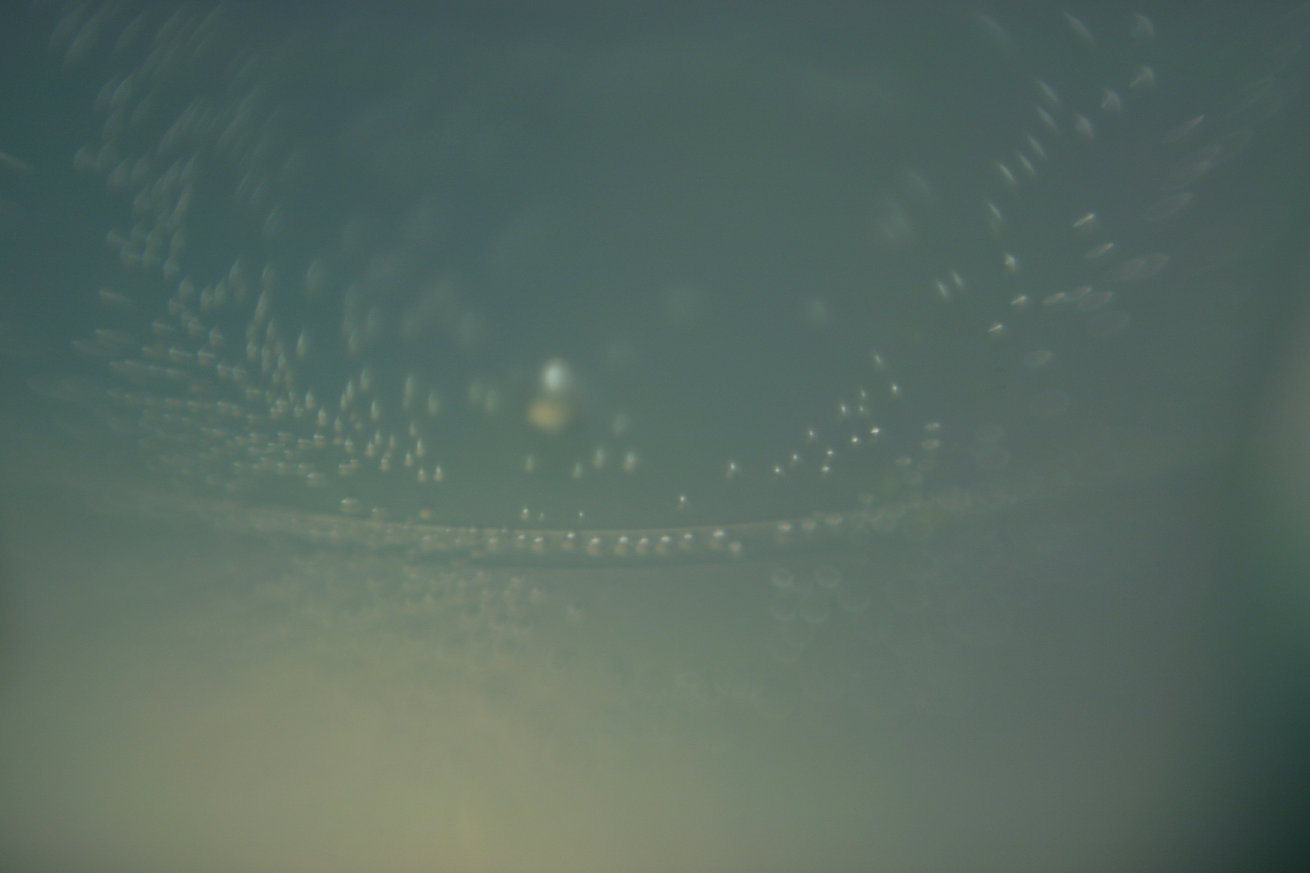 Free Unsplash photo from Мария Бутырина