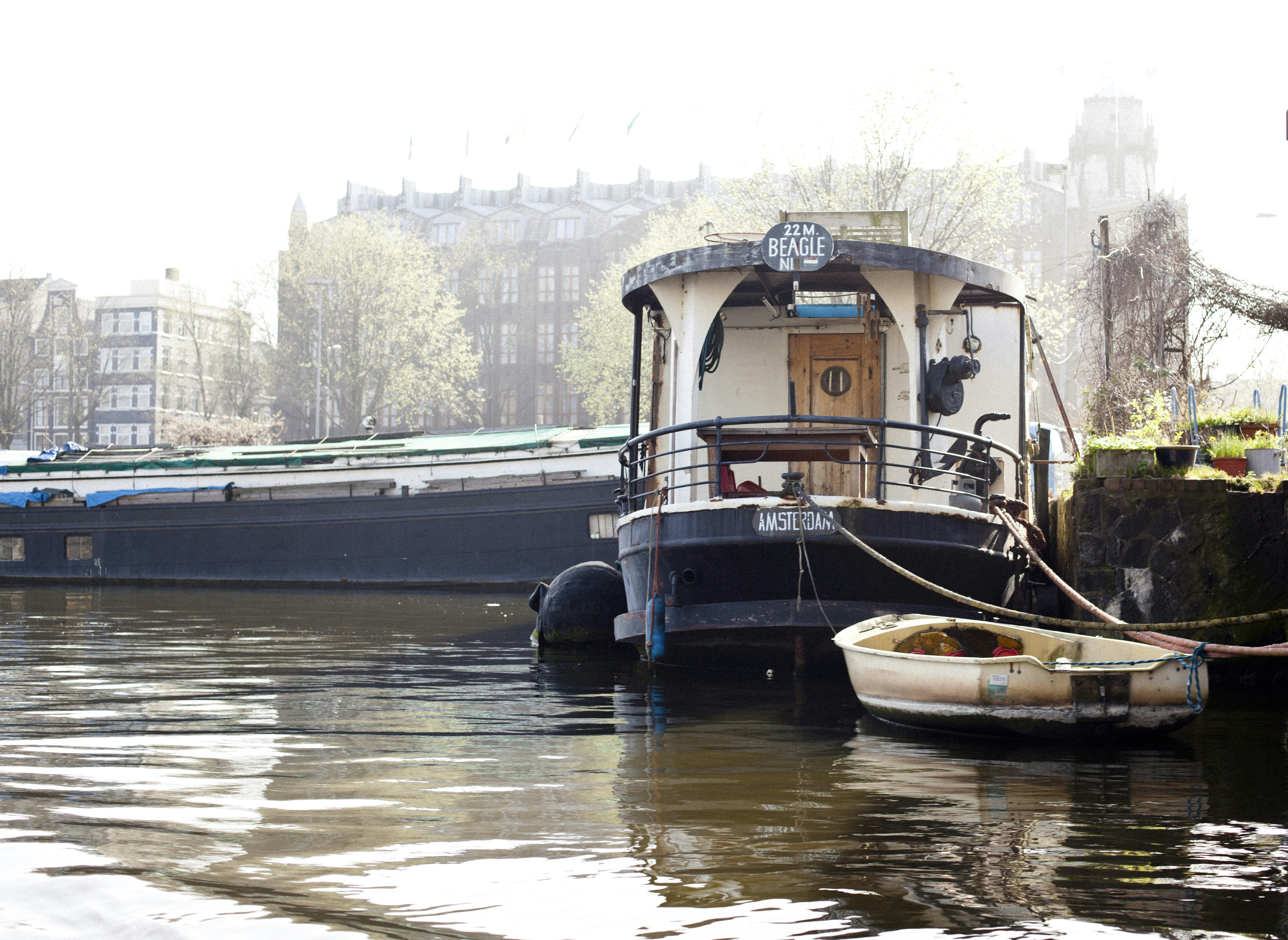 Free Unsplash photo from Мария Бутырина