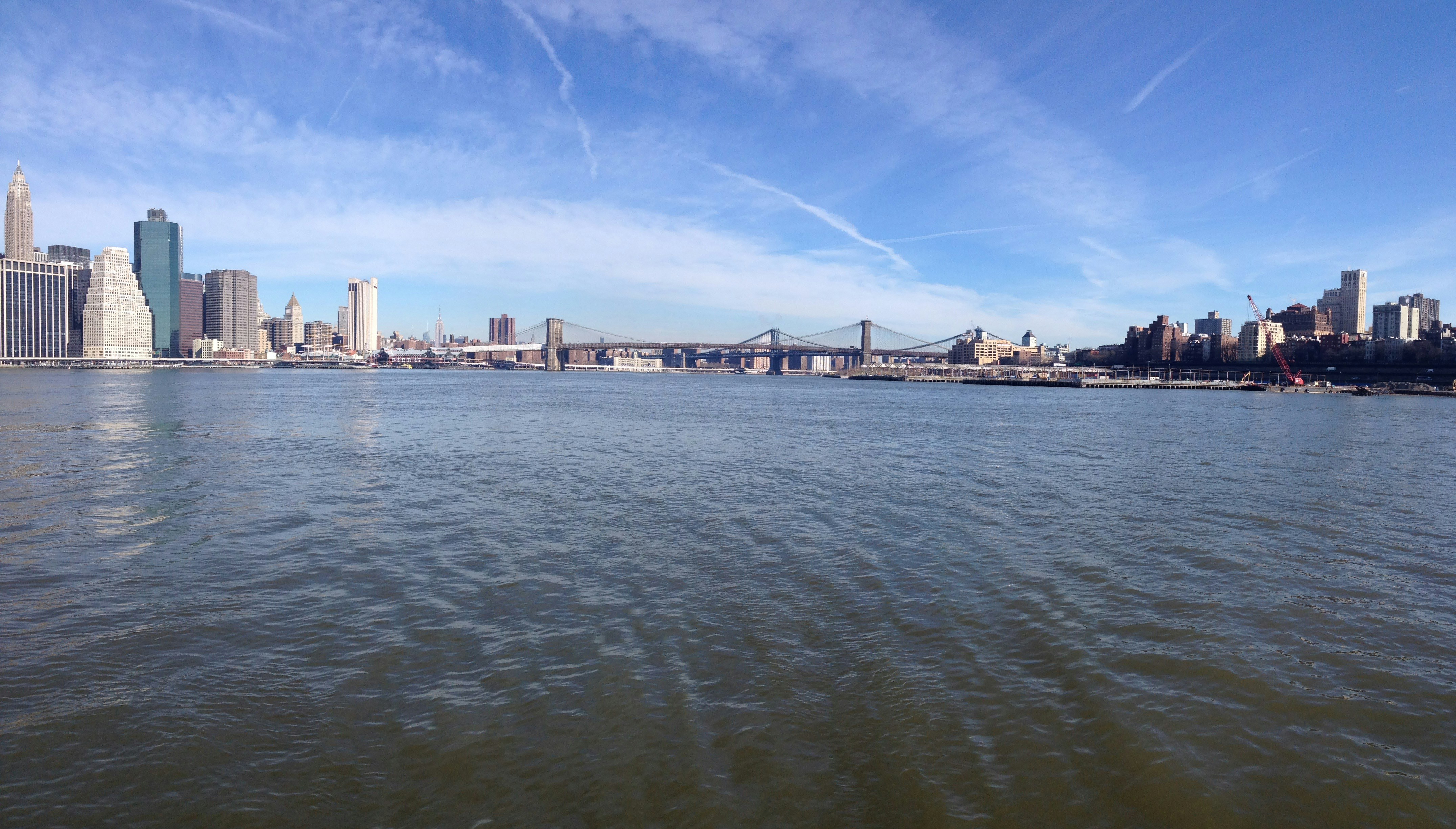 Free Unsplash photo from kevin Xue