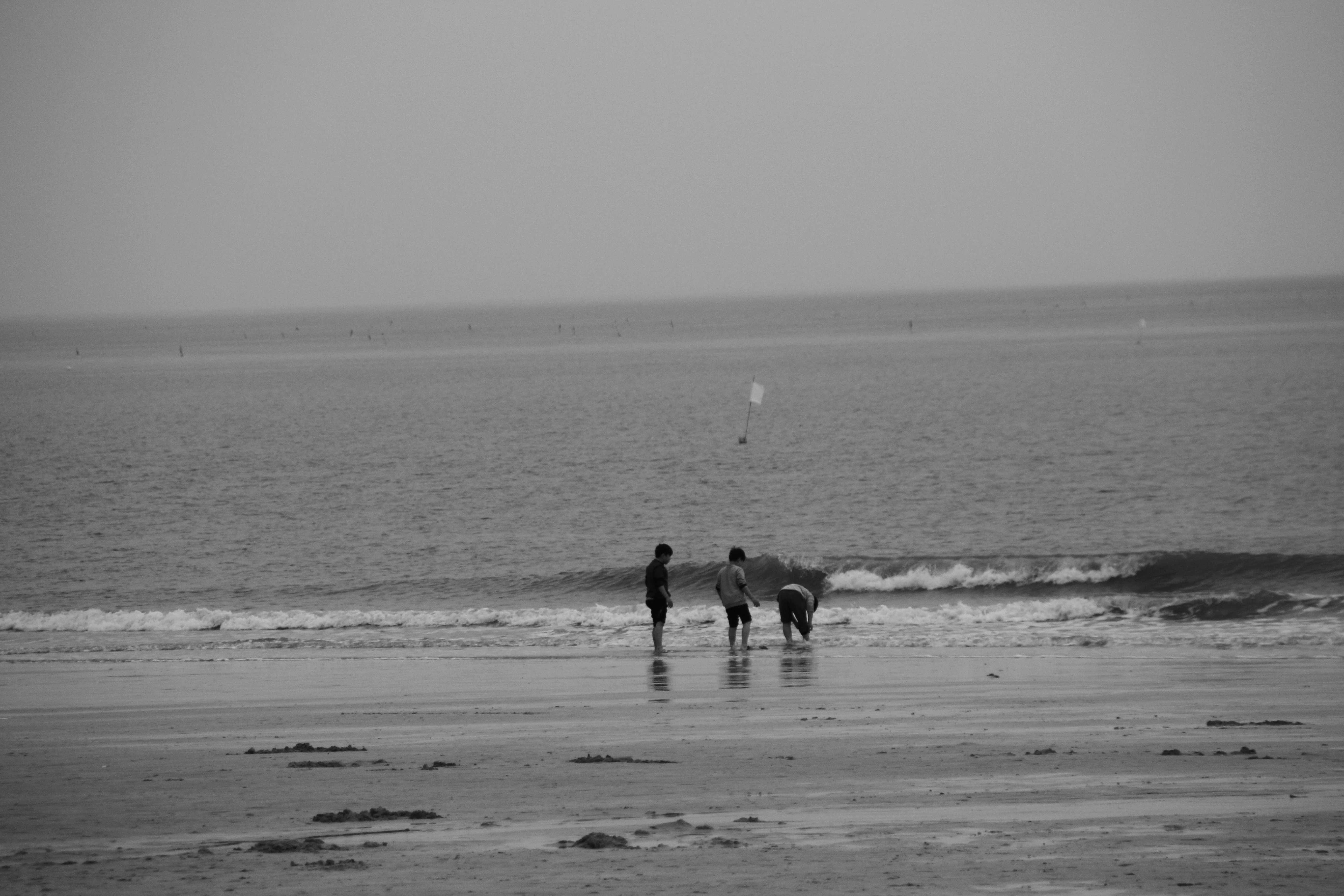 Free Unsplash photo from Victoria