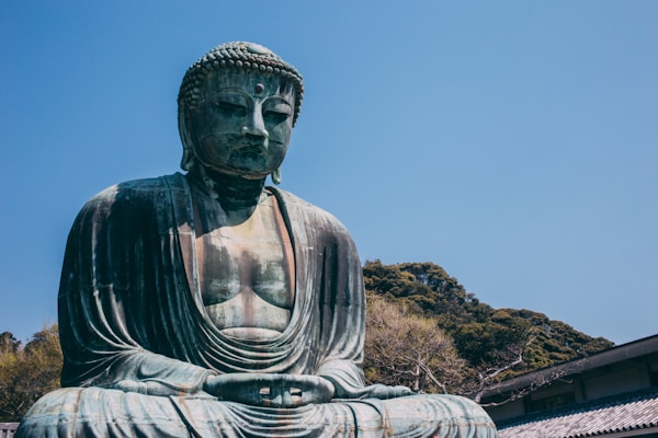 Exploring Kamakura's Local Cuisine and Traditional Recipes