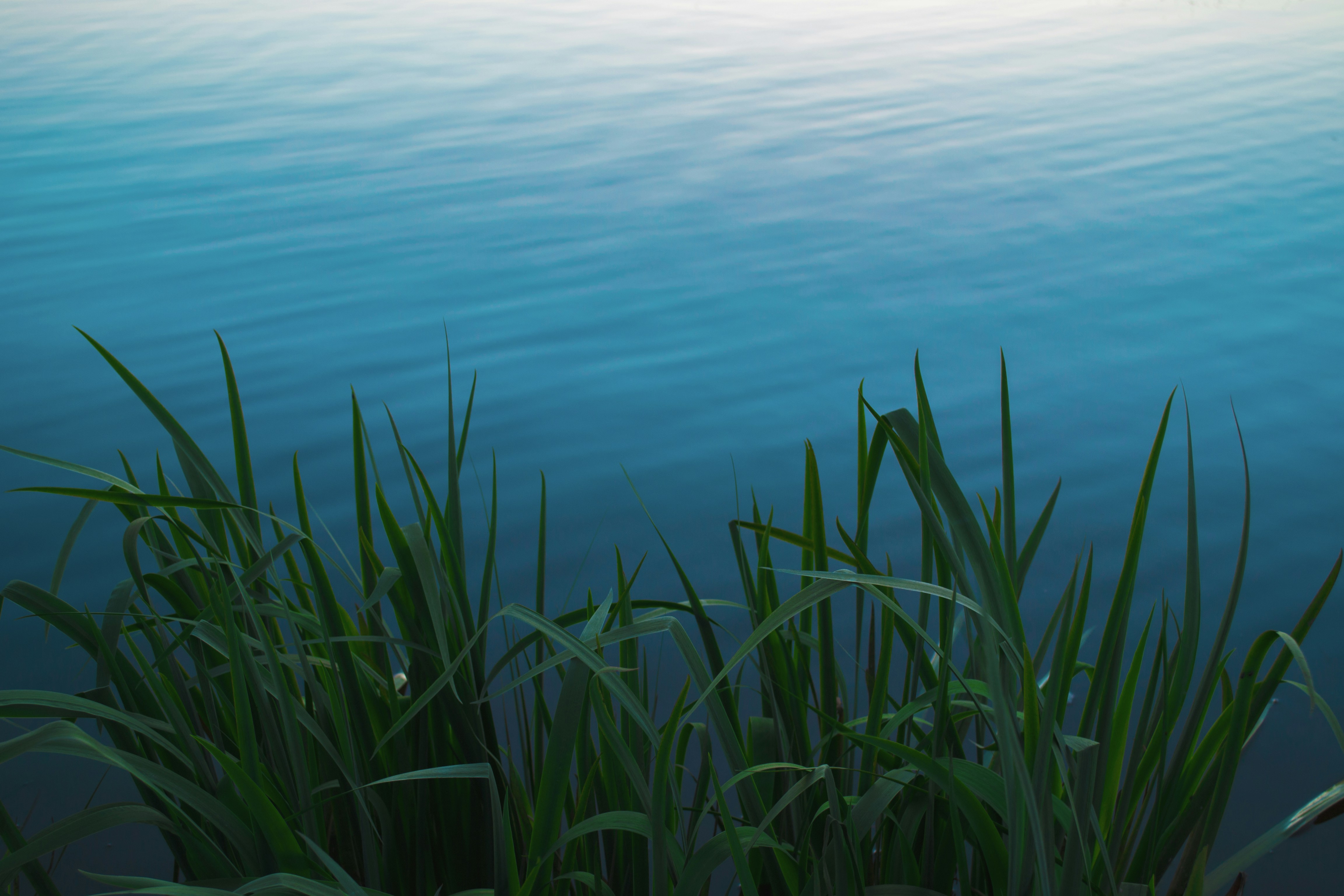 Free Unsplash photo from Sandis Helvigs