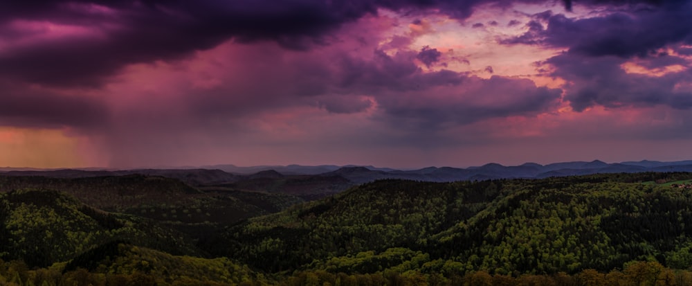 Grüne Bäume auf dem Berg unter bewölktem Himmel während des Tages