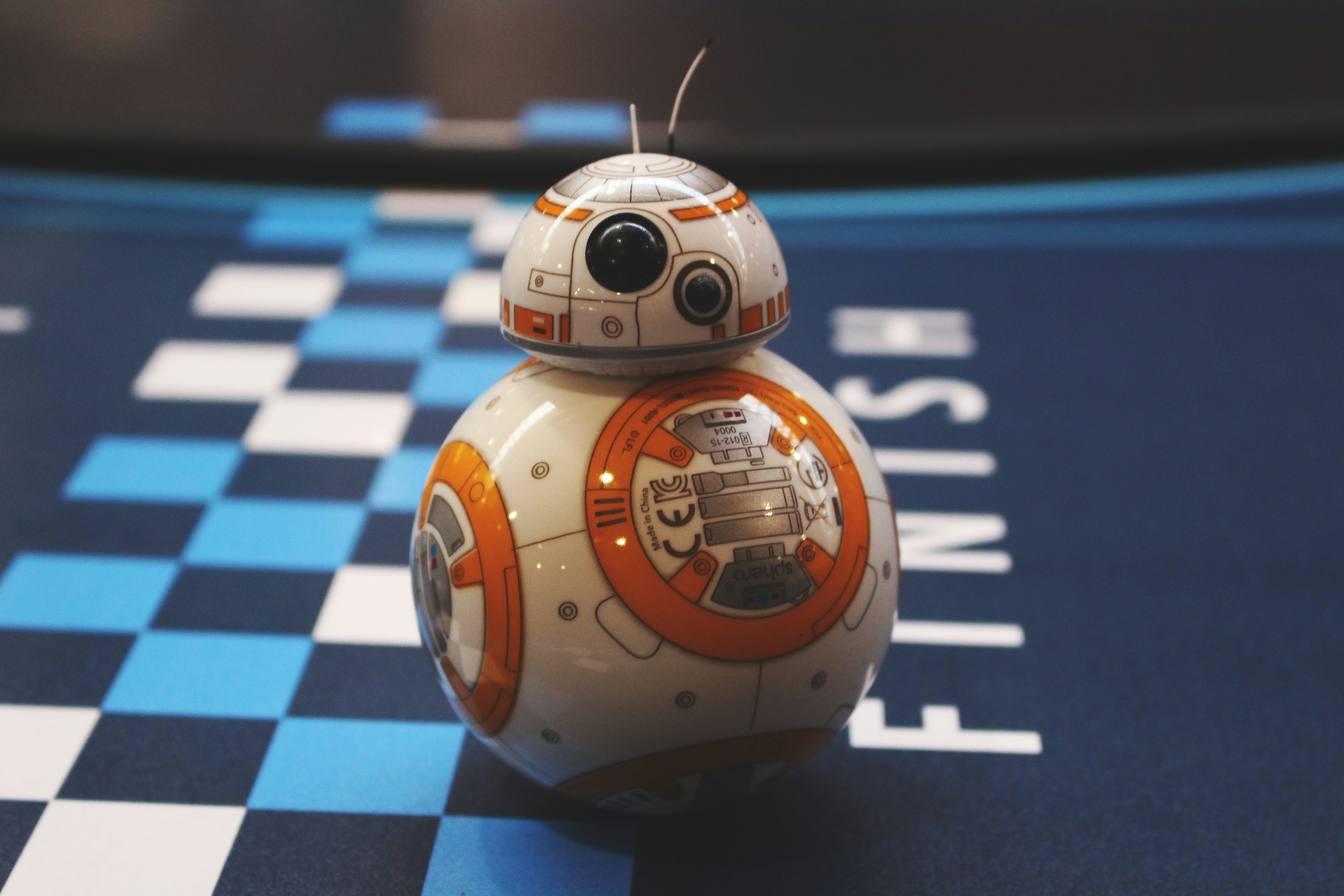 Free Unsplash photo from João Ribeiro