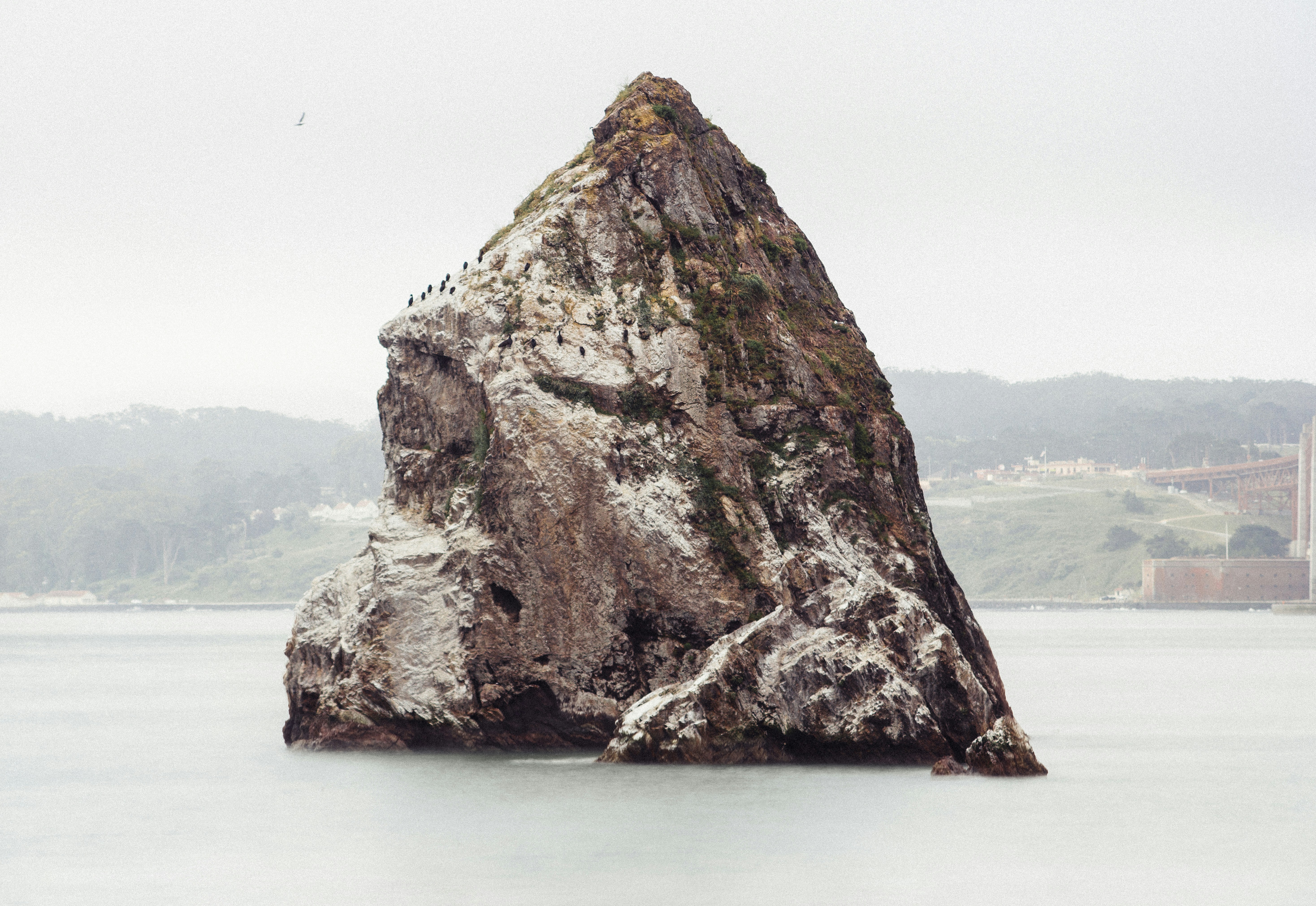 Free Unsplash photo from Dominik Lange