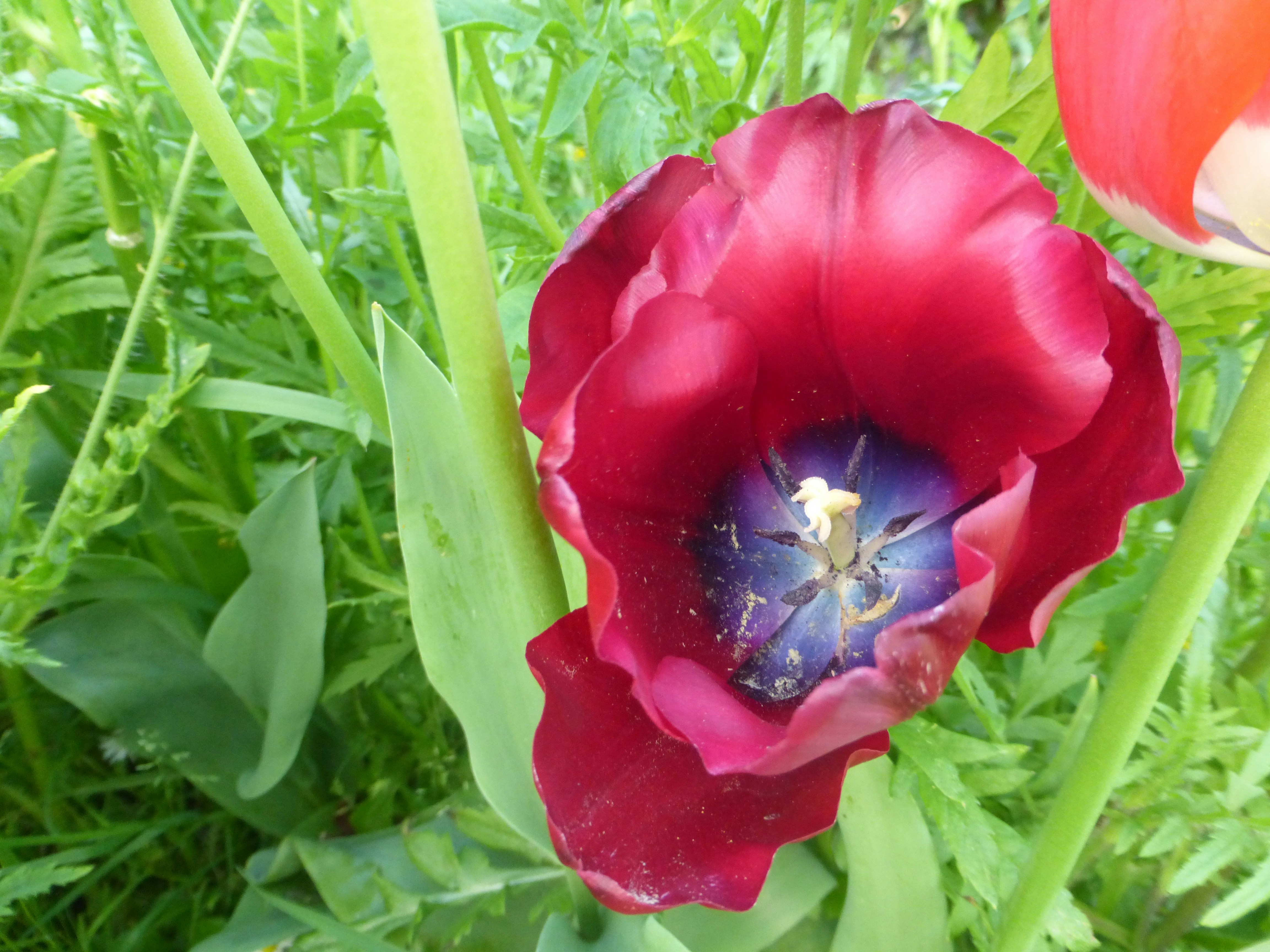 Free Unsplash photo from Jules Fouchy