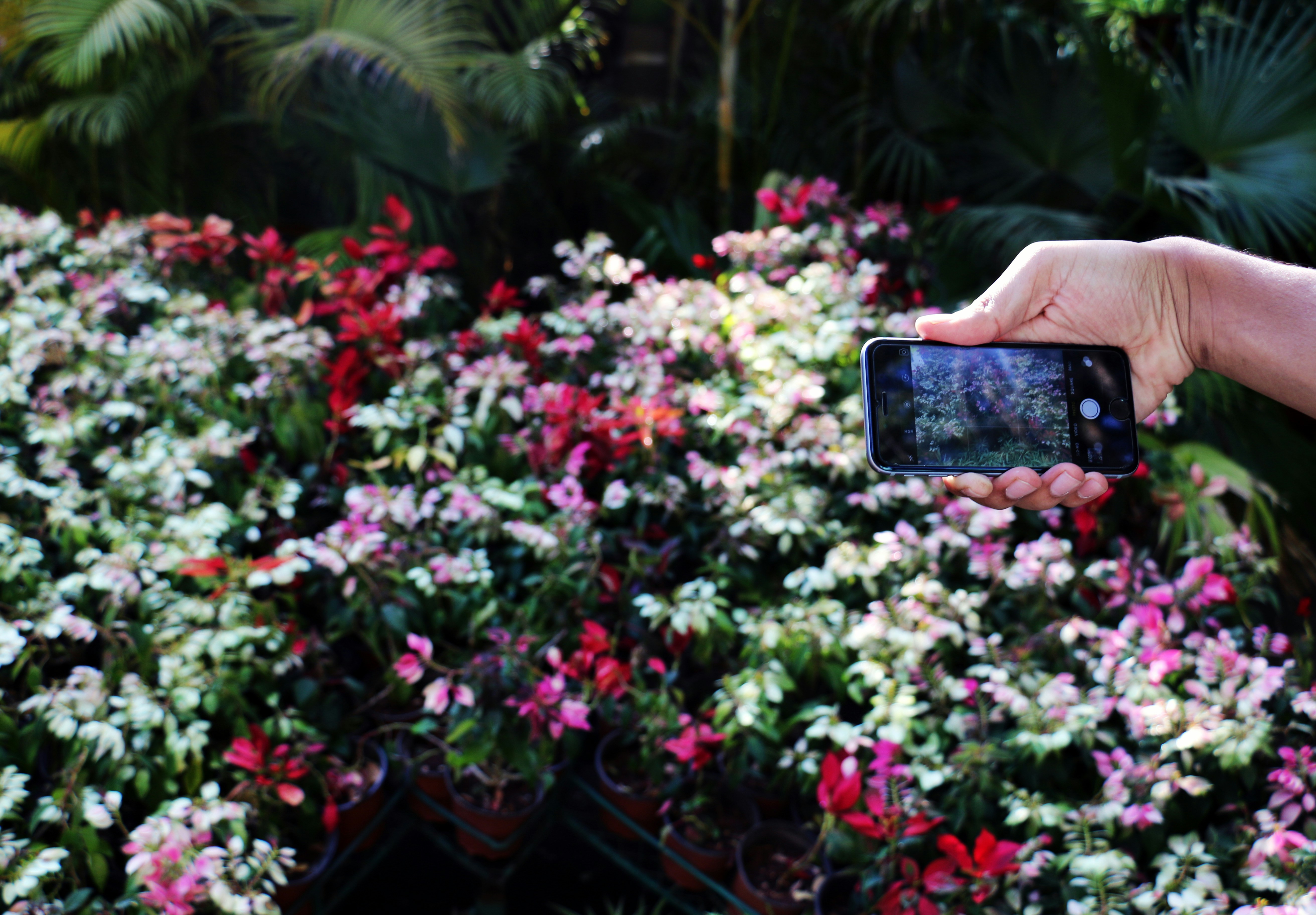 Free Unsplash photo from Damodar Solanki