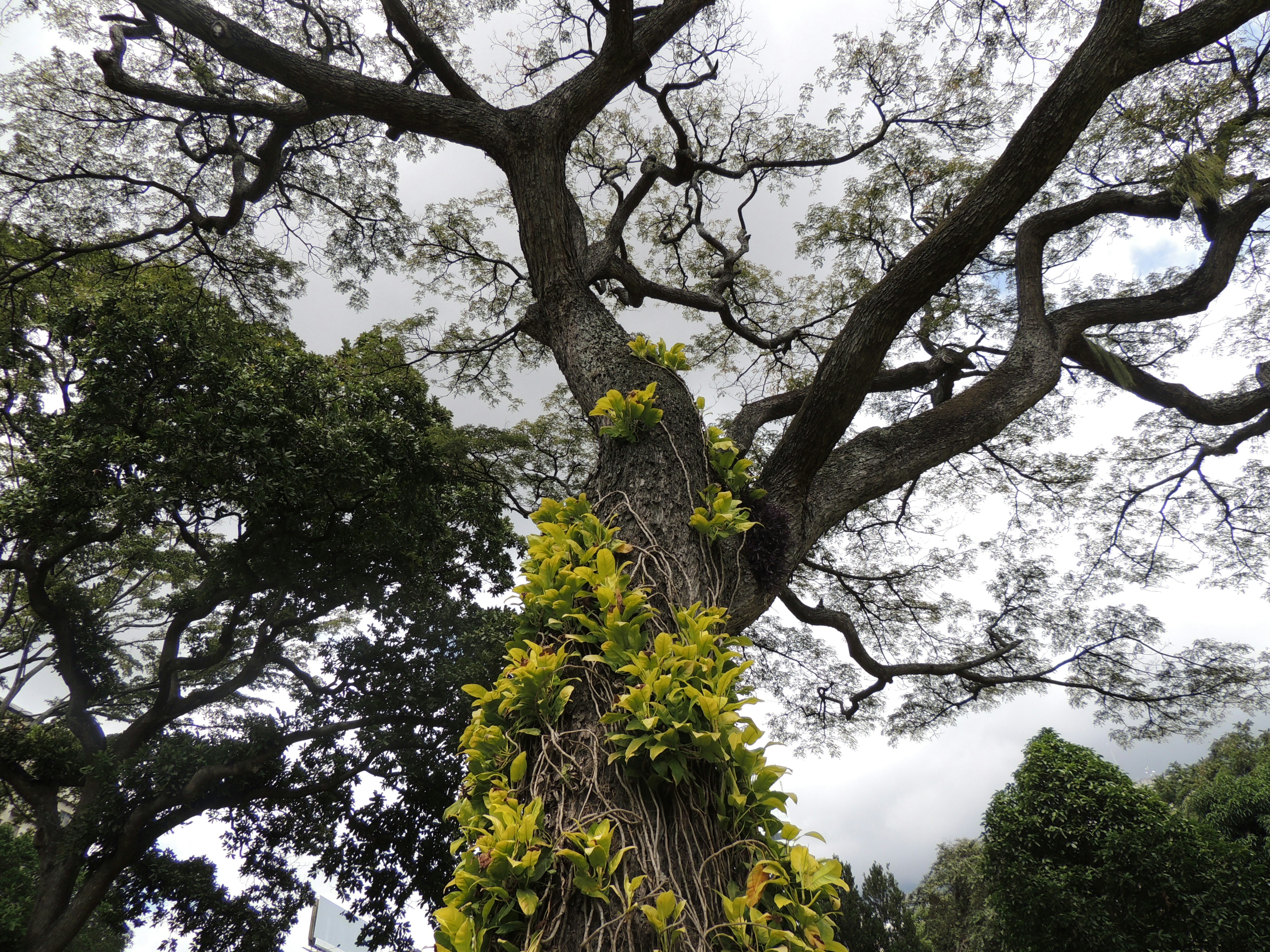 Free Unsplash photo from Cristhian Do Nascimento