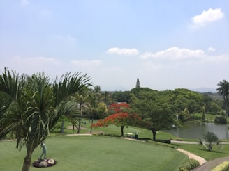 A scenic golf course with lush green grass and a variety of trees and plants, including palm trees and a tree with vibrant red flowers. A pond is visible in the background, adding to the tranquil setting.