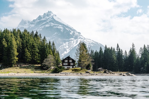A serene alpine scene featuring a snow-capped mountain in the background, lush evergreen trees, and a tranquil lake in the foreground. A cozy wooden cabin is nestled among the trees, providing a picturesque and peaceful retreat setting.