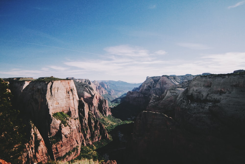 bird's eye view photography trees between canyons