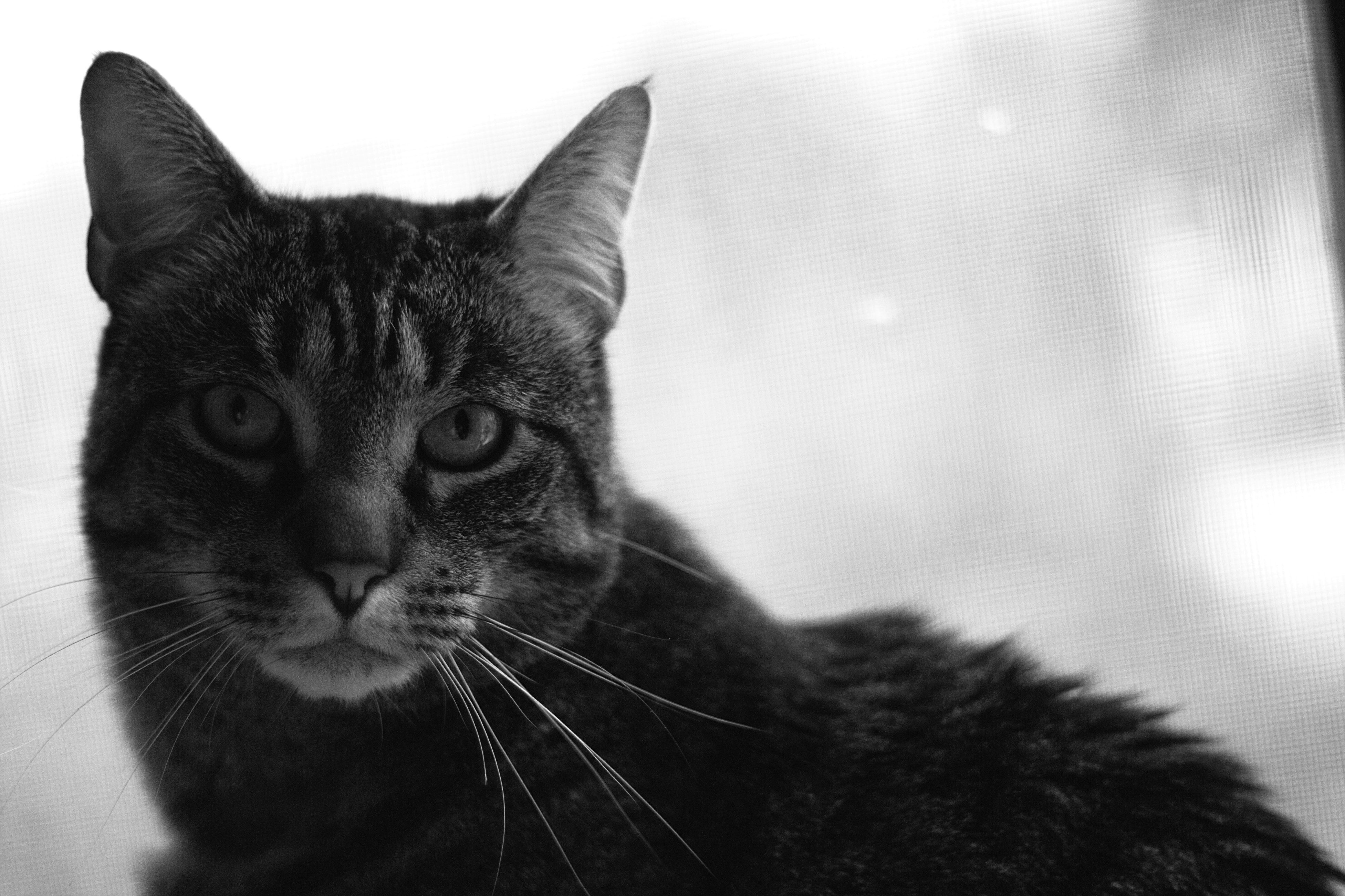 Free Unsplash photo from Joshua Anderson