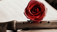 A red rose delicately placed on a wooden flute, with musical sheets in the background. The rose's petals are vibrant and textured, contrasting with the smooth, polished wood of the flute.
