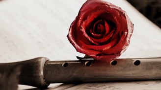 A red rose delicately placed on a wooden flute, with musical sheets in the background. The rose's petals are vibrant and textured, contrasting with the smooth, polished wood of the flute.