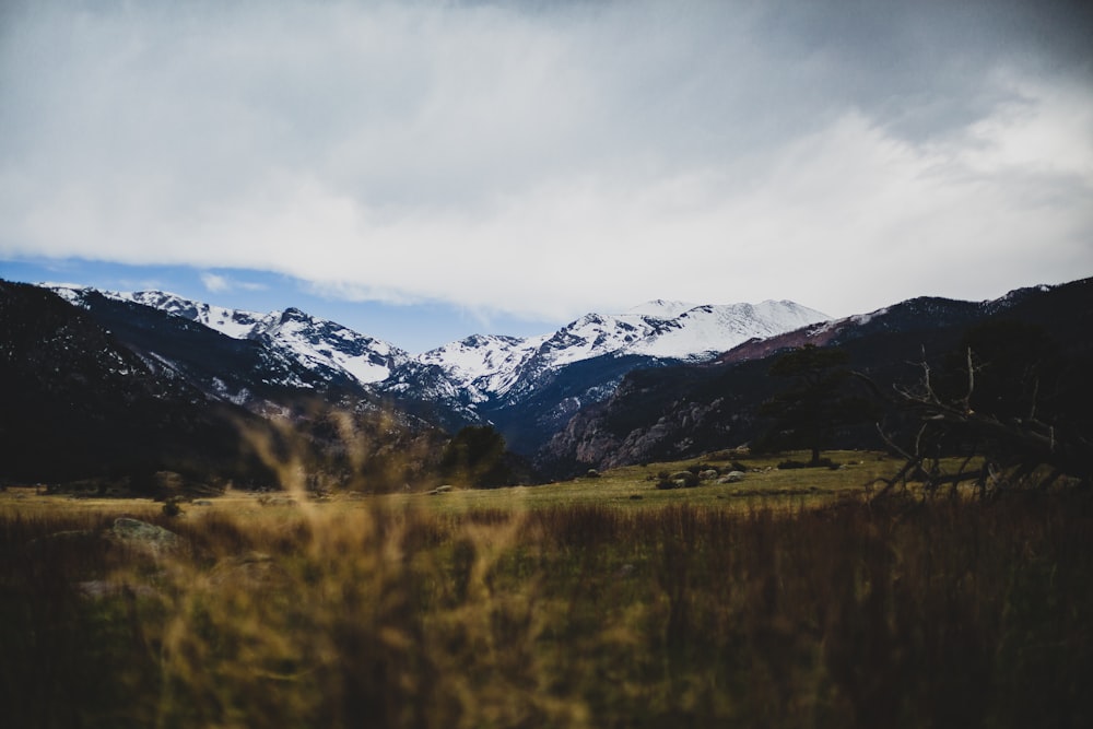 mountain covered with snow