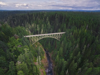 aerial photography of white bridge surrounded with green trees during daytime