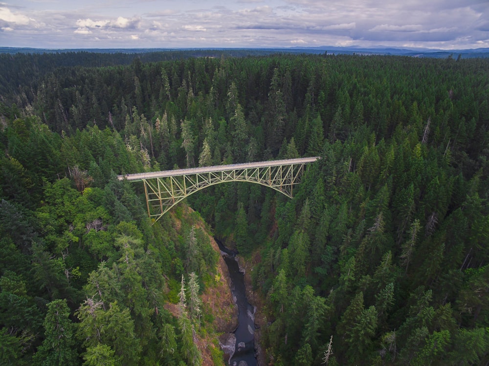 Photographie aérienne d’un pont blanc entouré d’arbres verts pendant la journée