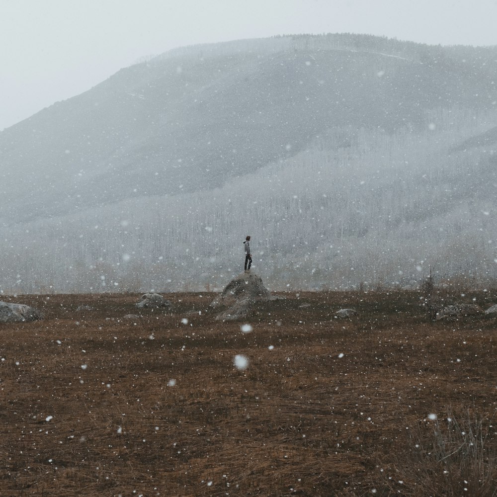 person standing on rock