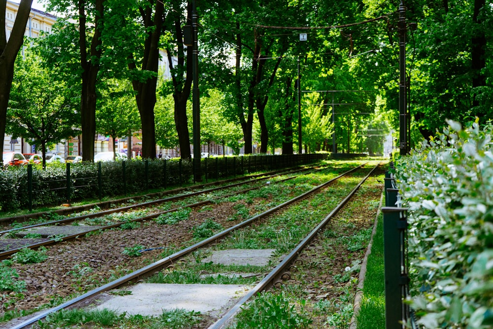 rail de train près d’arbres verts pendant la journée