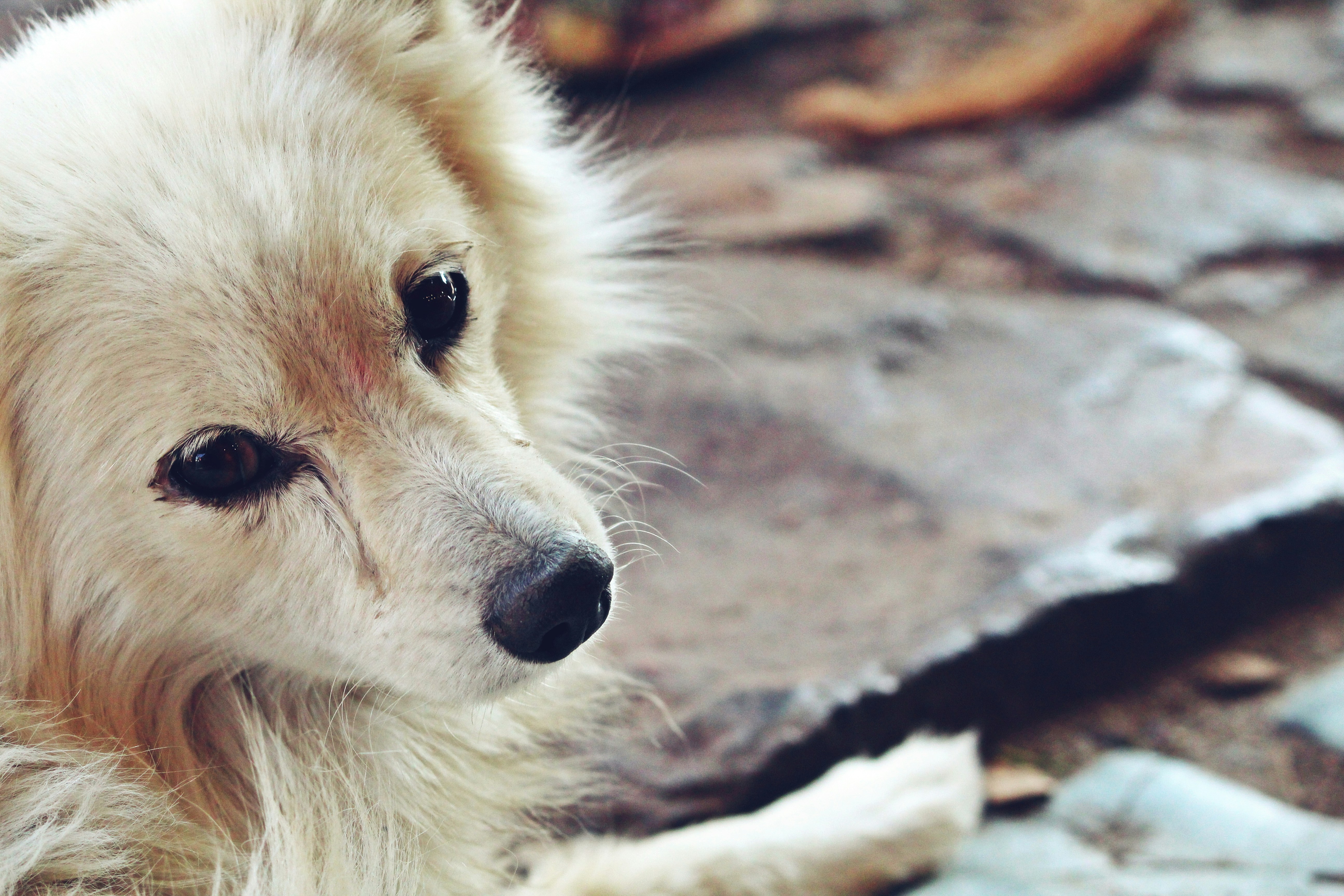 Free Unsplash photo from Jaimin Desai