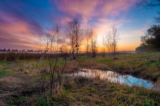 photo of Longmont Nature reserve near Rocky Mountain National Park