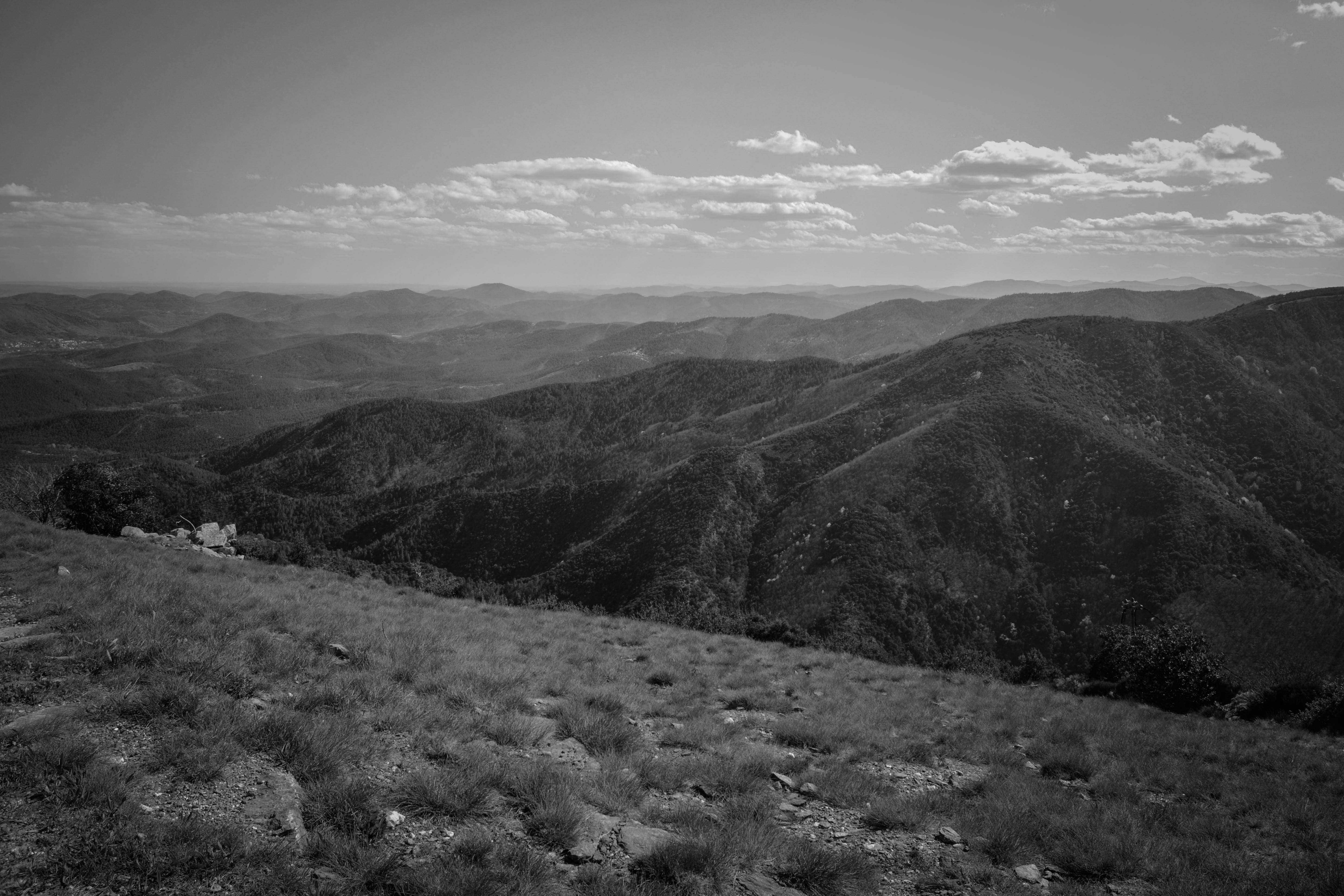 Free Unsplash photo from Arnaud Richard